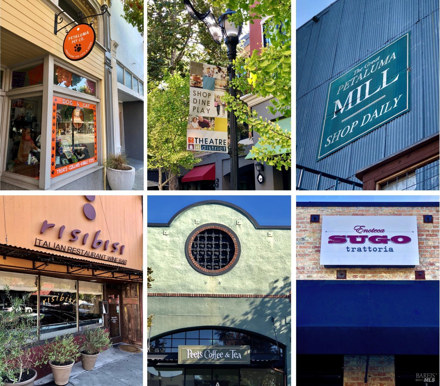 1889 Falcon Ridge Dr