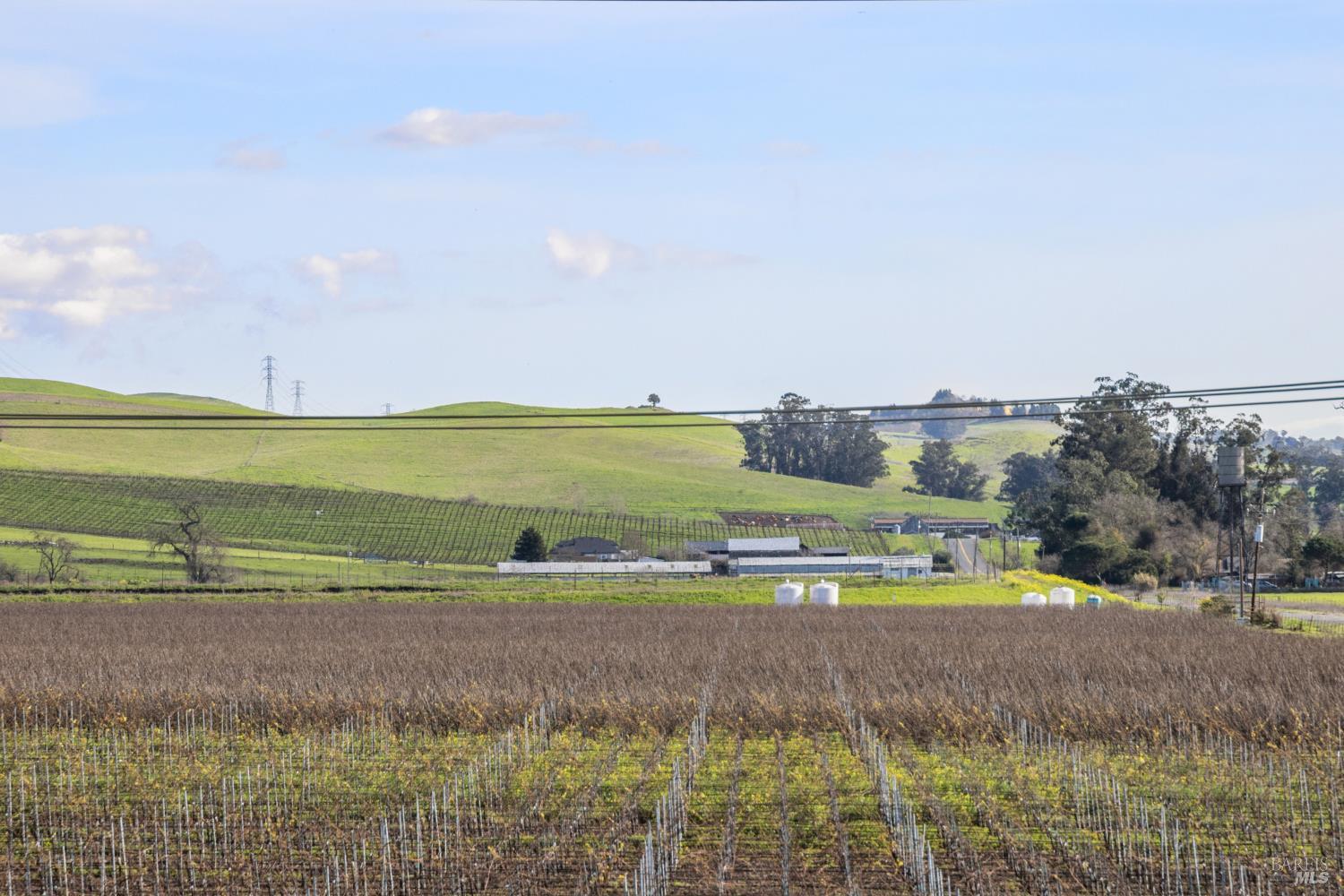 35 Princeville Court