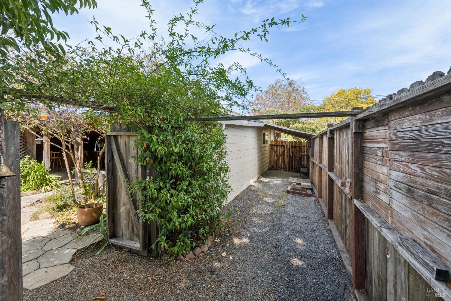 Side yard with a gravel path, weathered wooden fences, and leafy vines on a trellis.