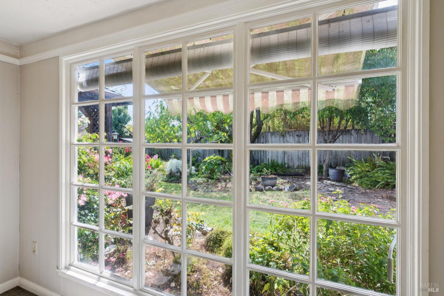 Large multi-pane window overlooking a leafy garden with flowering shrubs and a stone path.