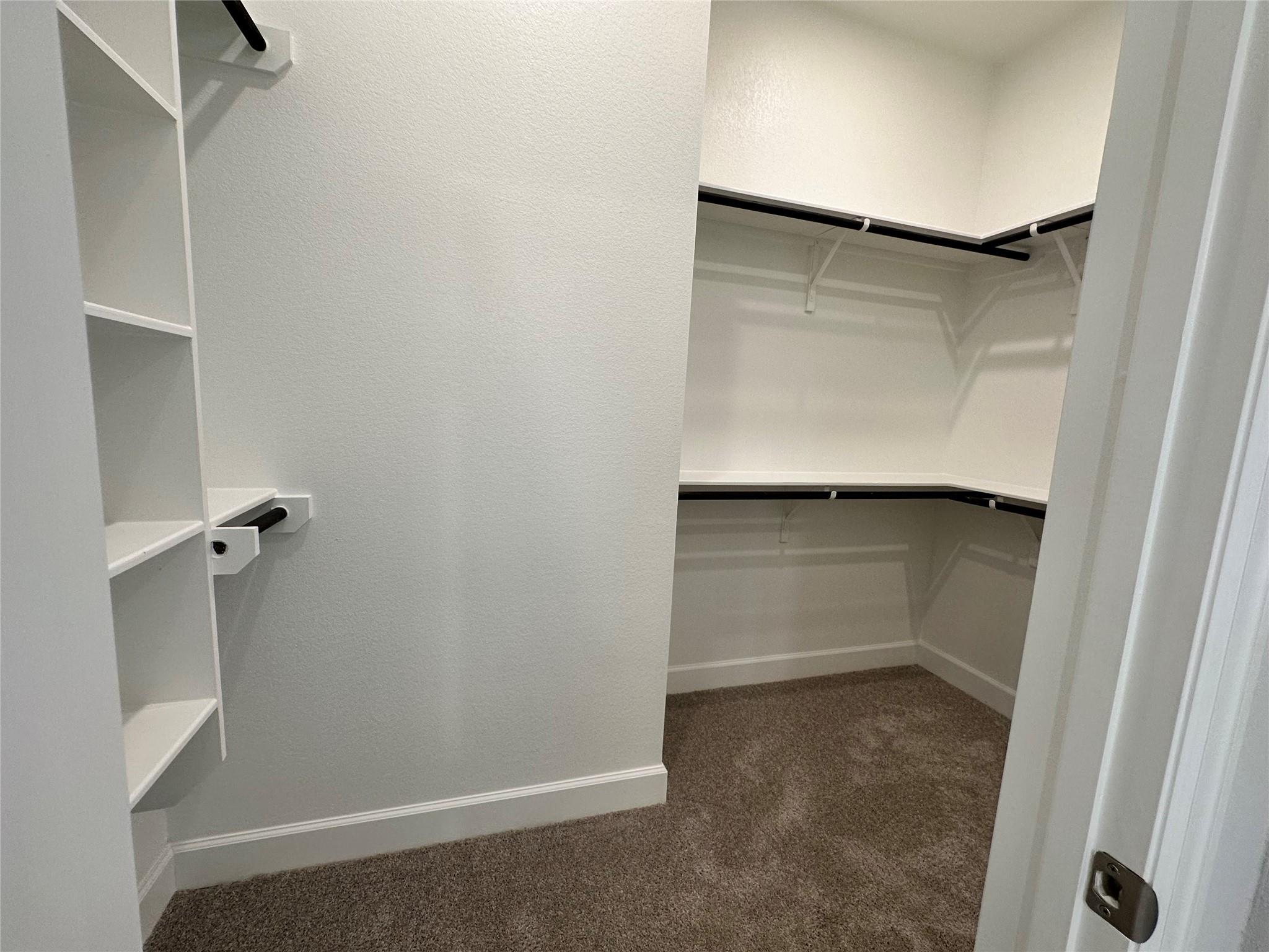 17309 Cain Clearing PASS