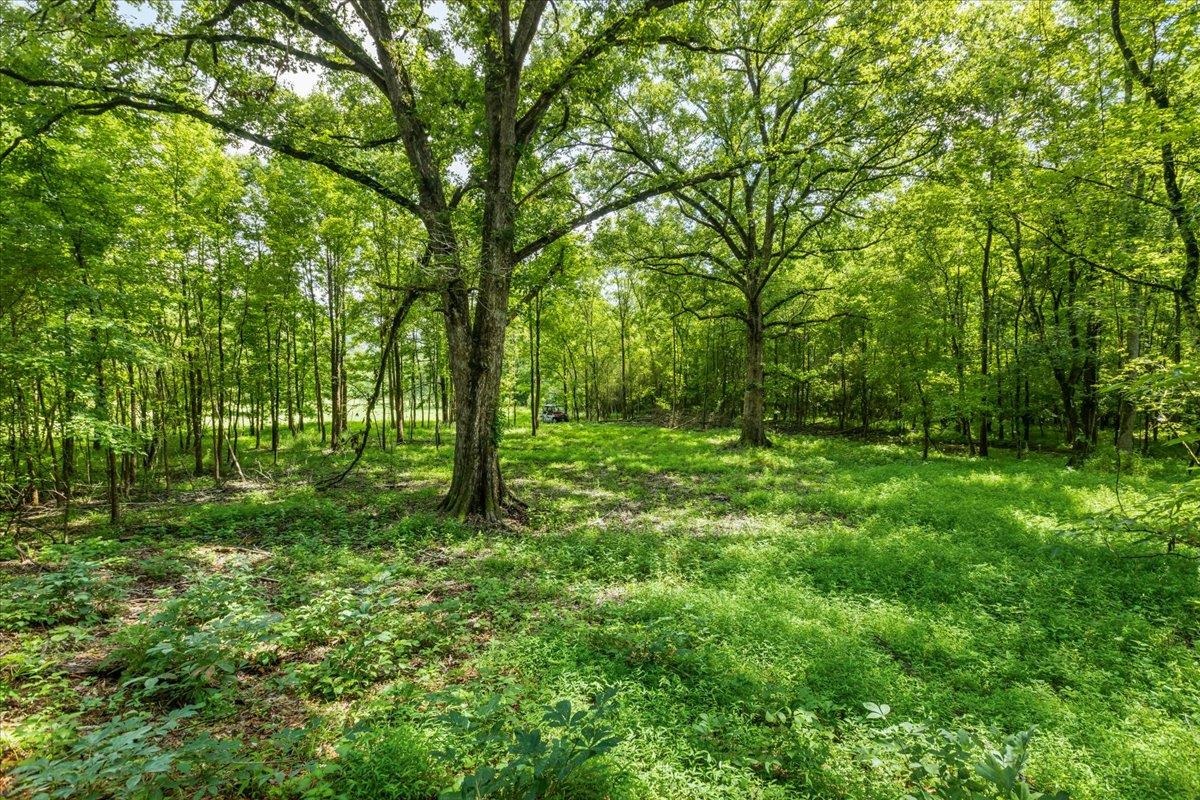 0 CREEKVIEW DRIVE # B Unit: Tract B