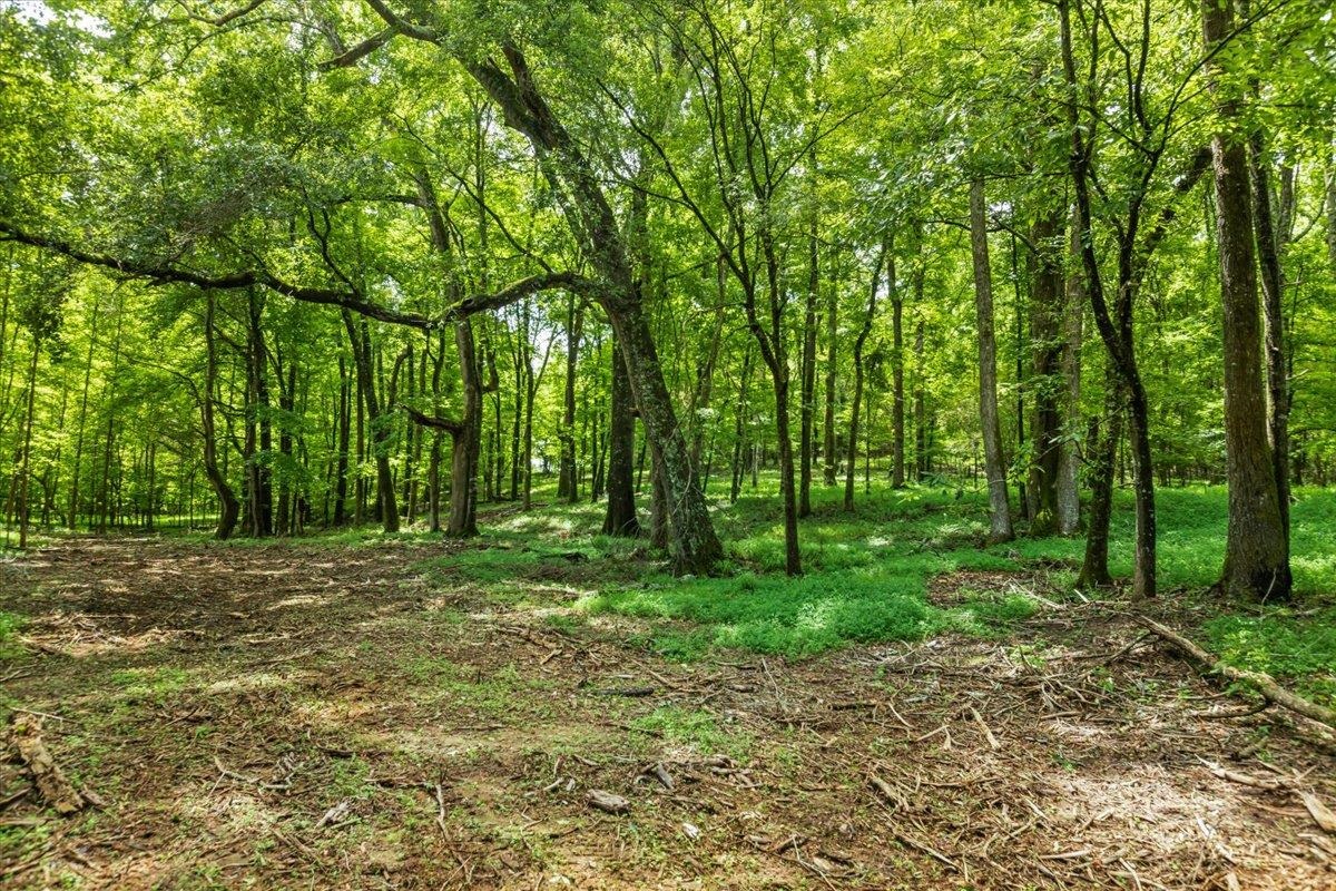 0 CREEKVIEW DRIVE # B Unit: Tract B