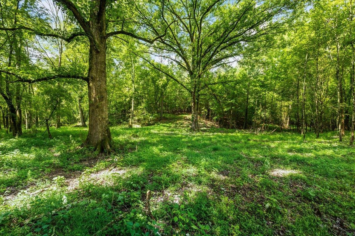 0 CREEKVIEW DRIVE # B Unit: Tract B