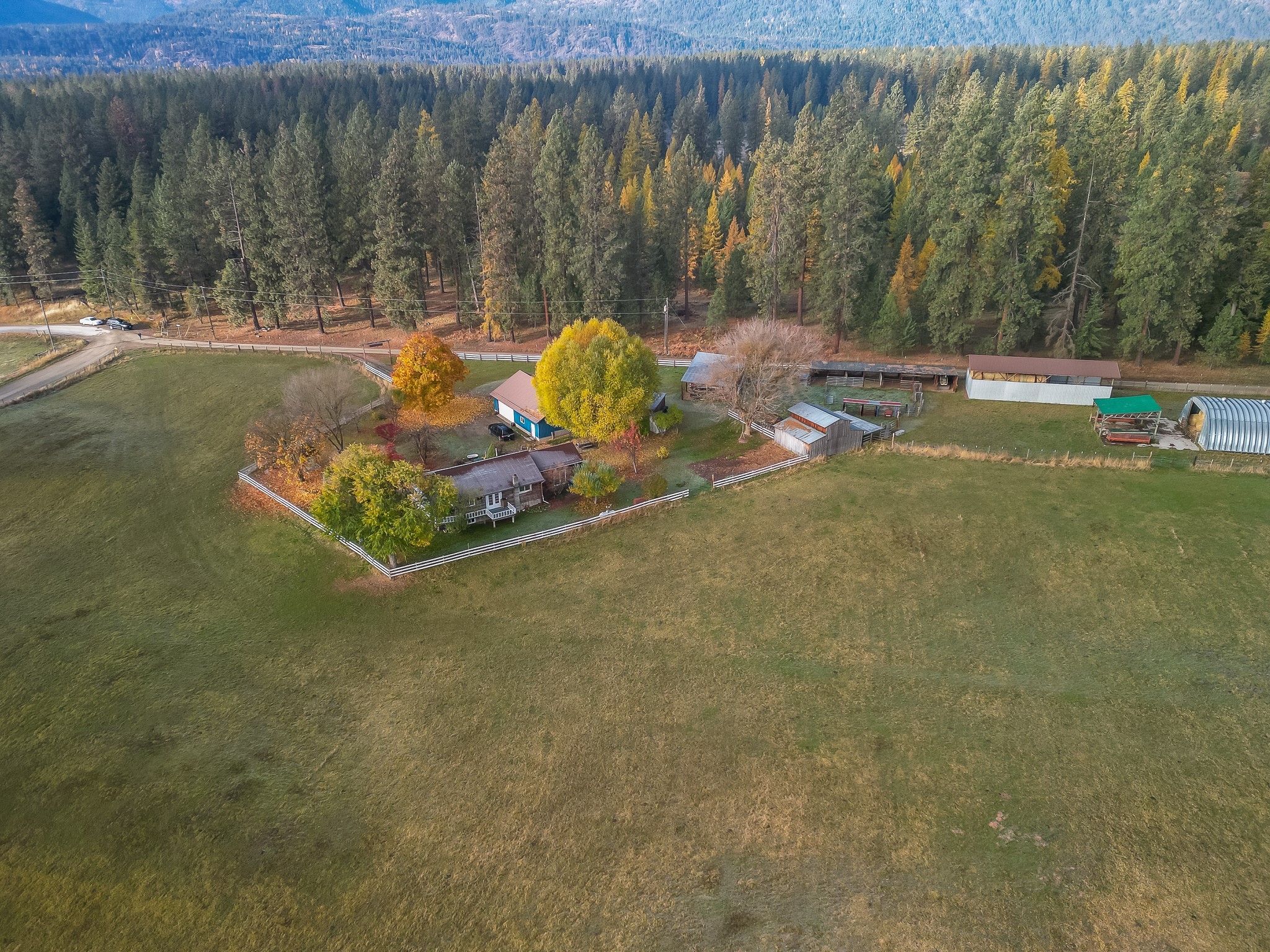 4 Courtier Road