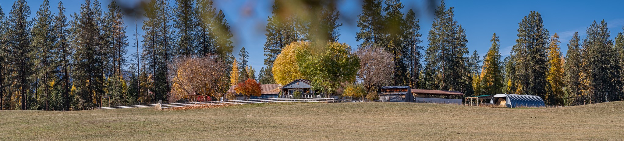 4 Courtier Road