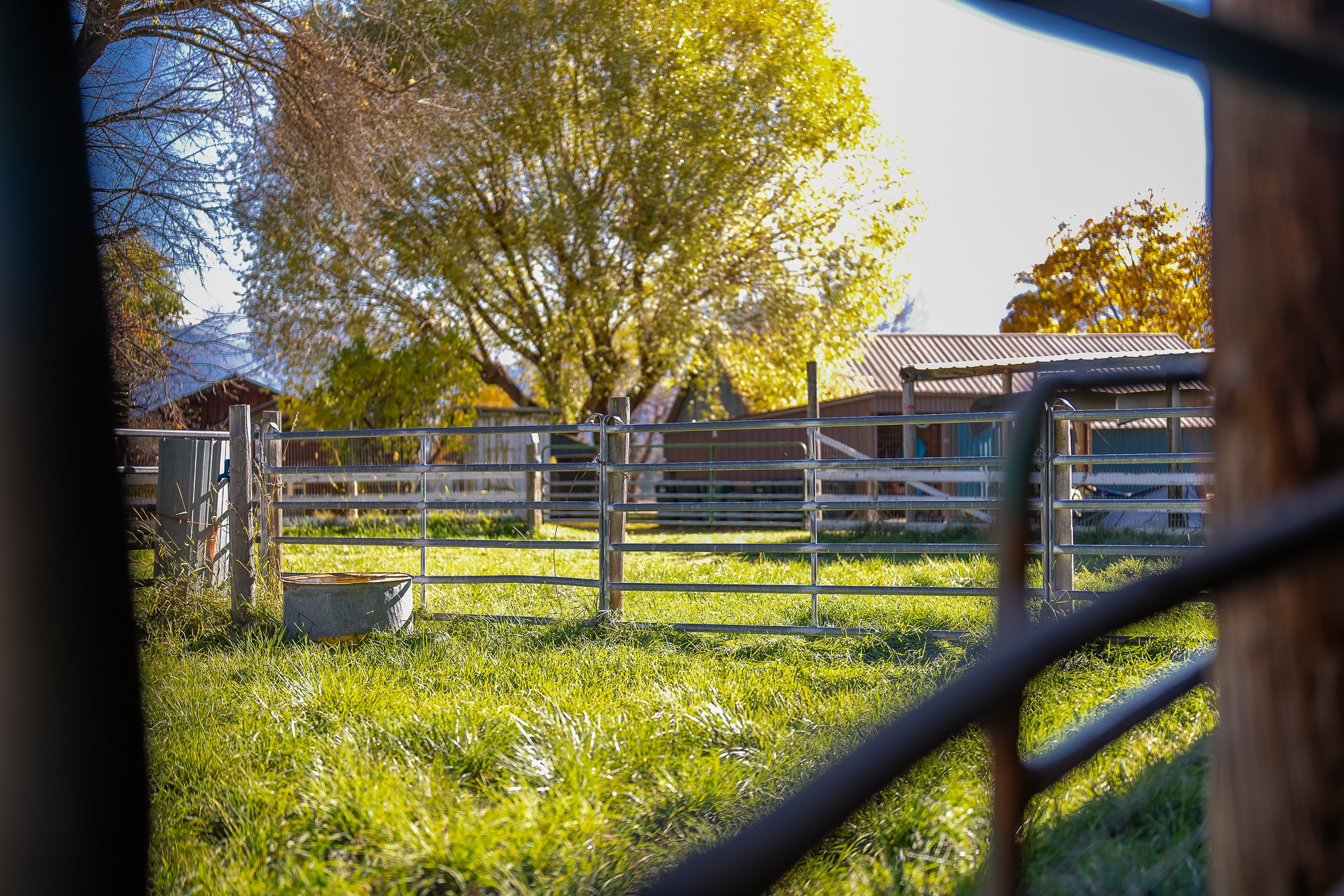 4 Courtier Road