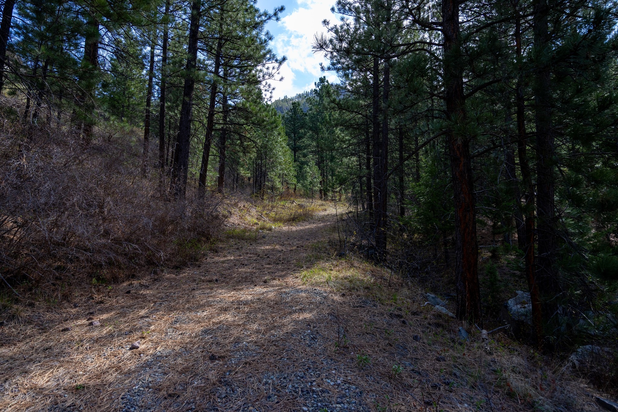 149 Novak Creek Lane