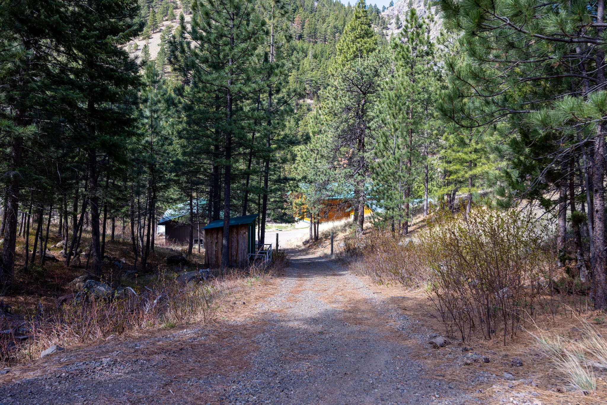 149 Novak Creek Lane