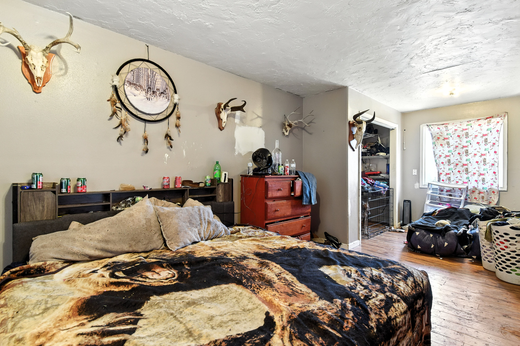 529 Peno Lane