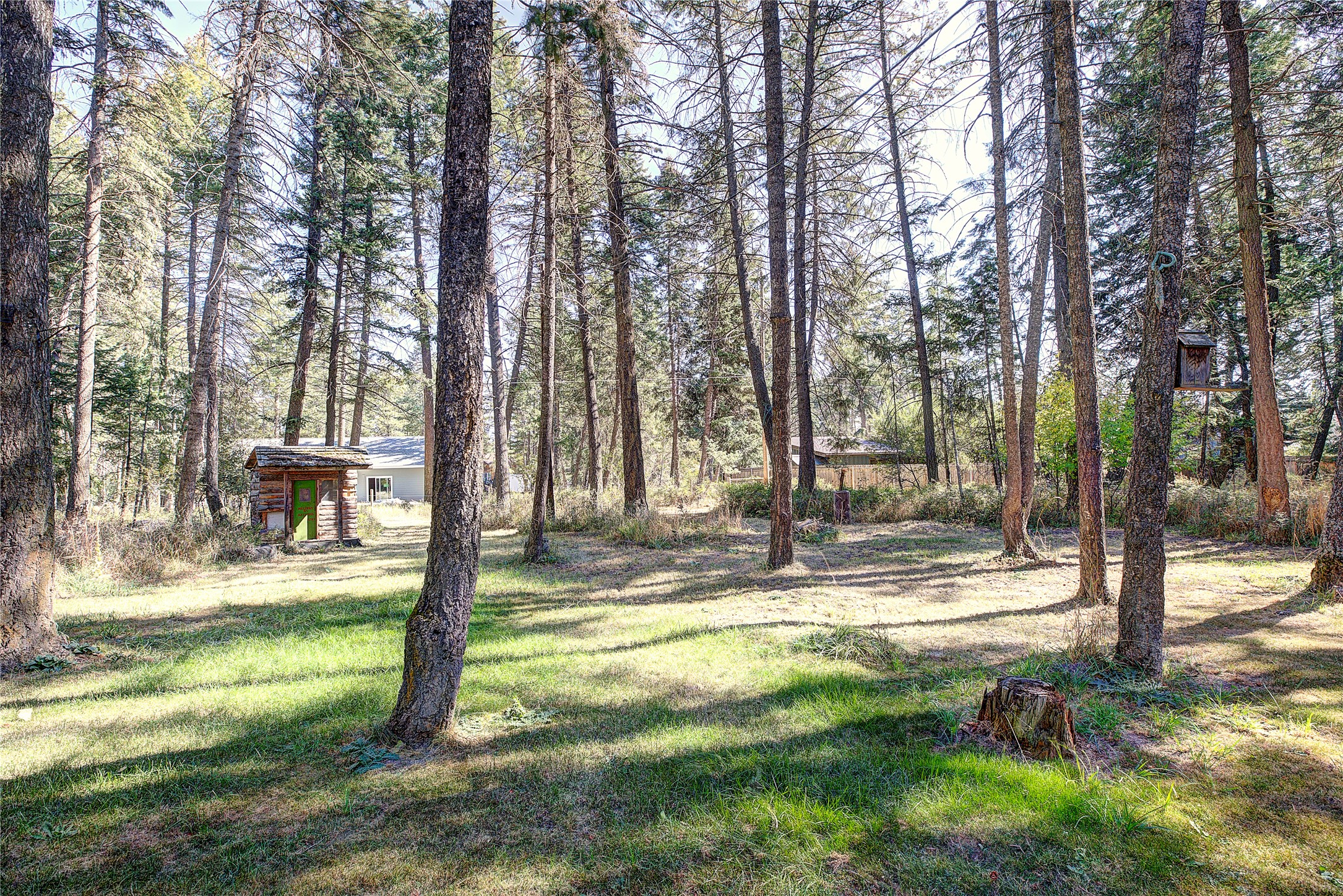 439 Antelope Trail