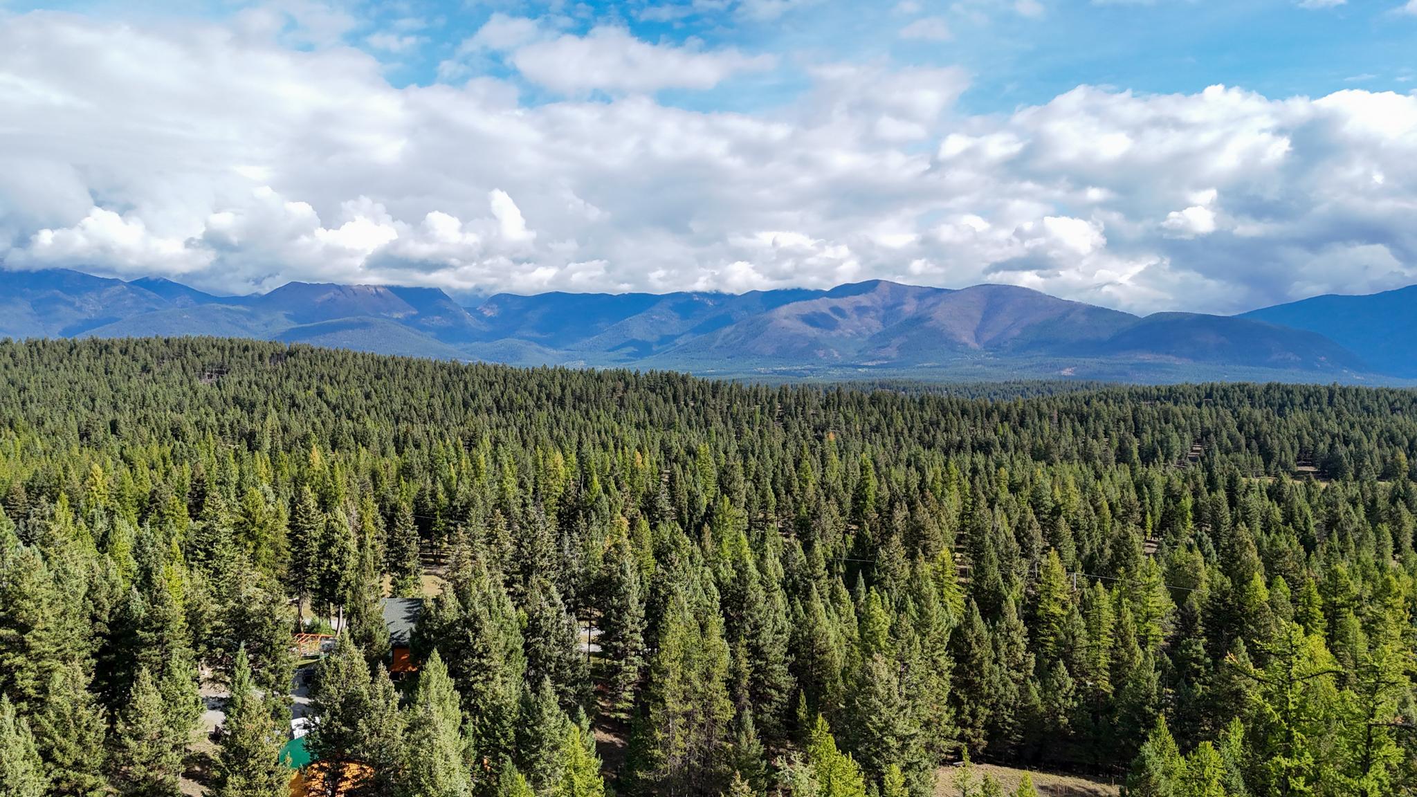 400 Starling Ridge Road