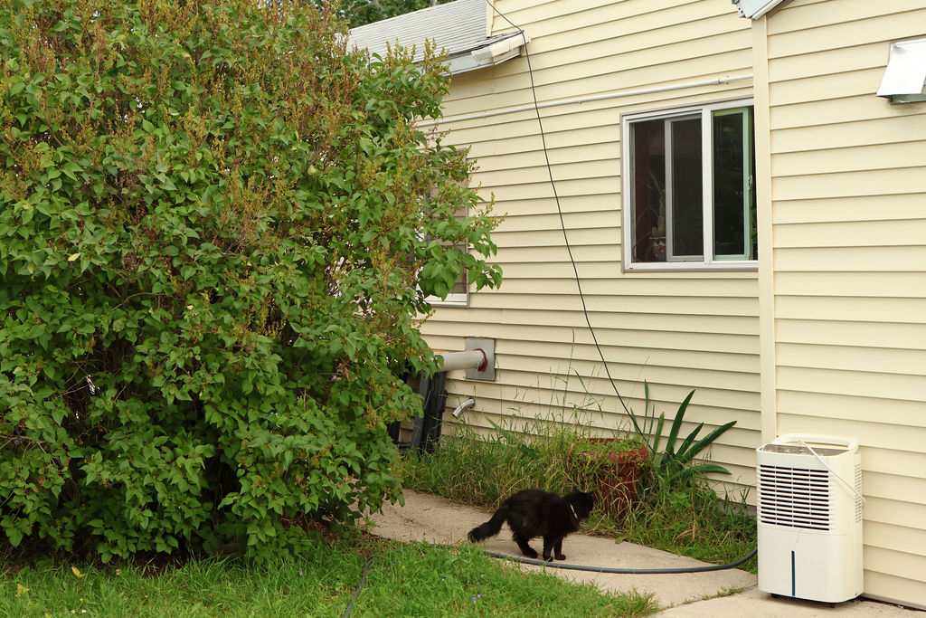 1617 S Warren Avenue