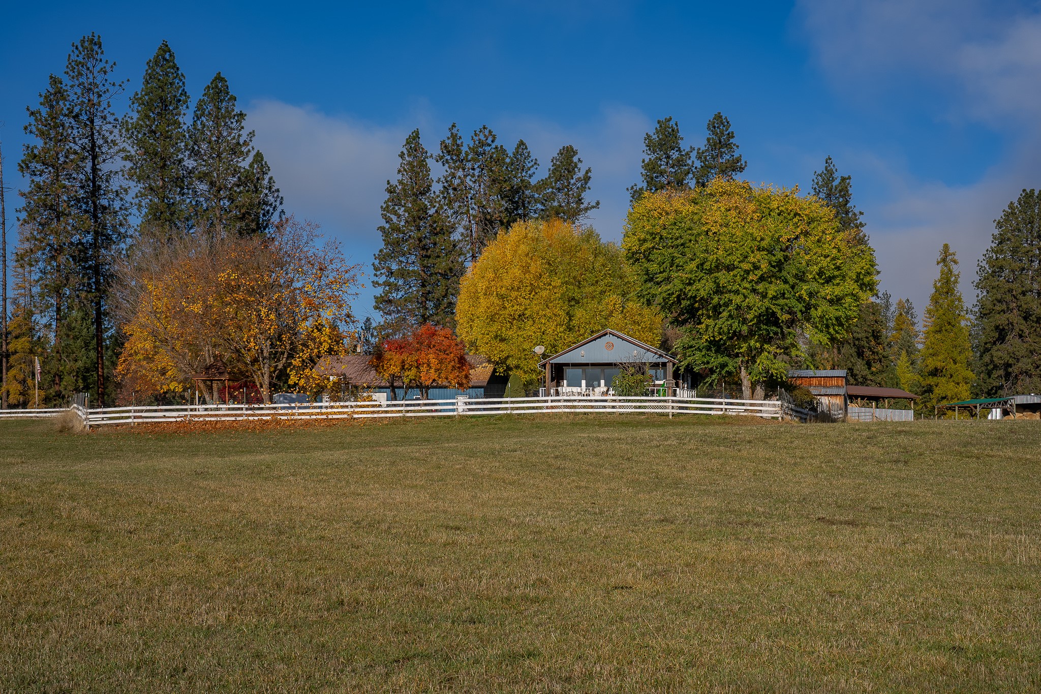 4 Courtier Road