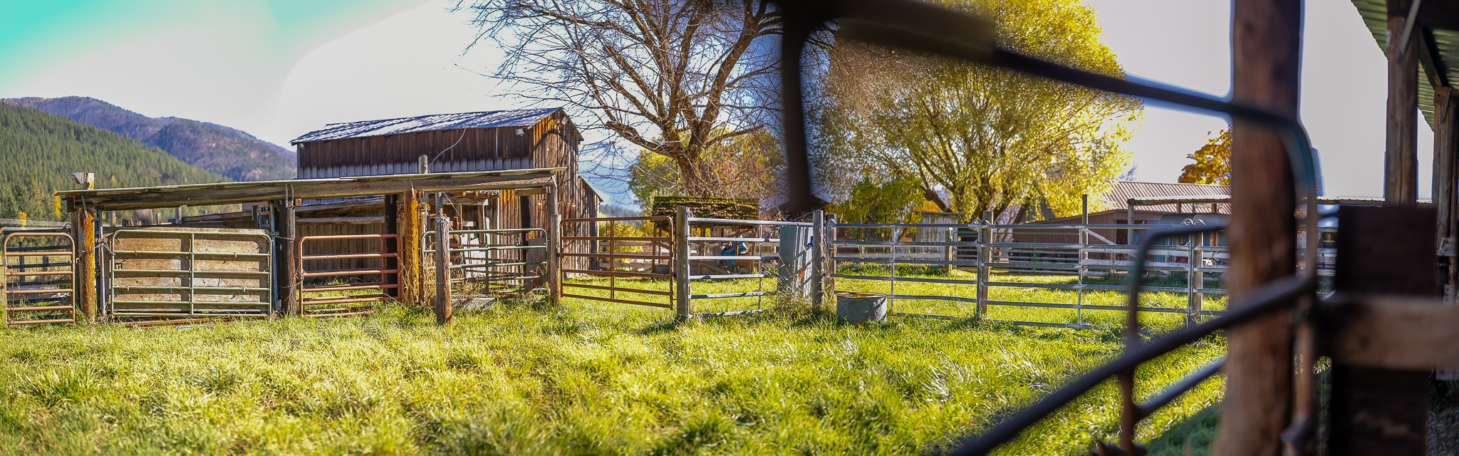 4 Courtier Road