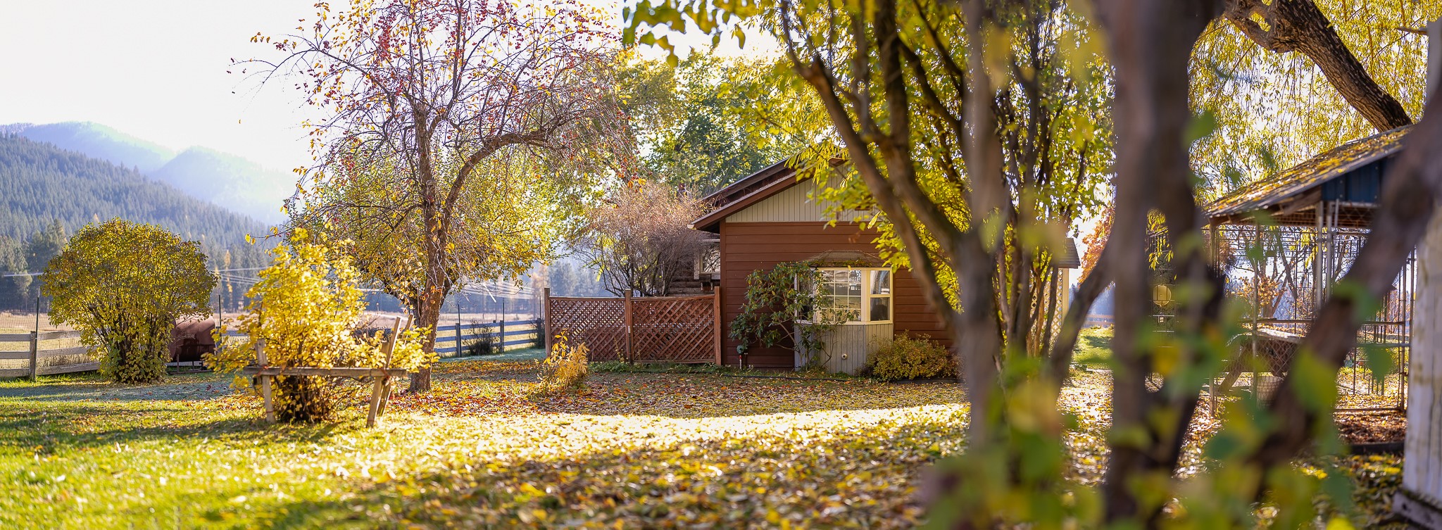 4 Courtier Road