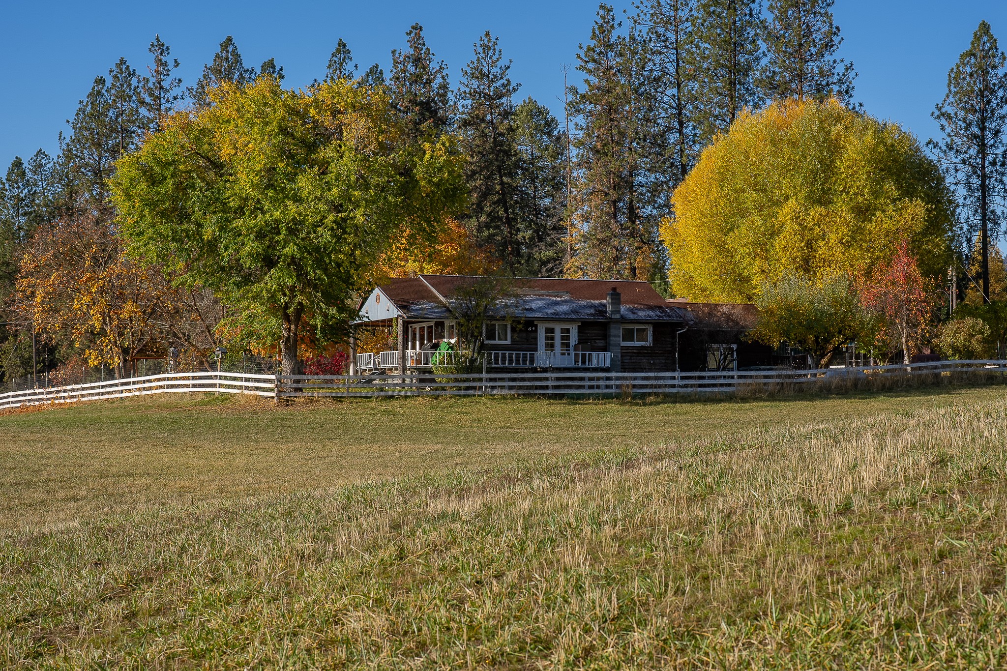 4 Courtier Road