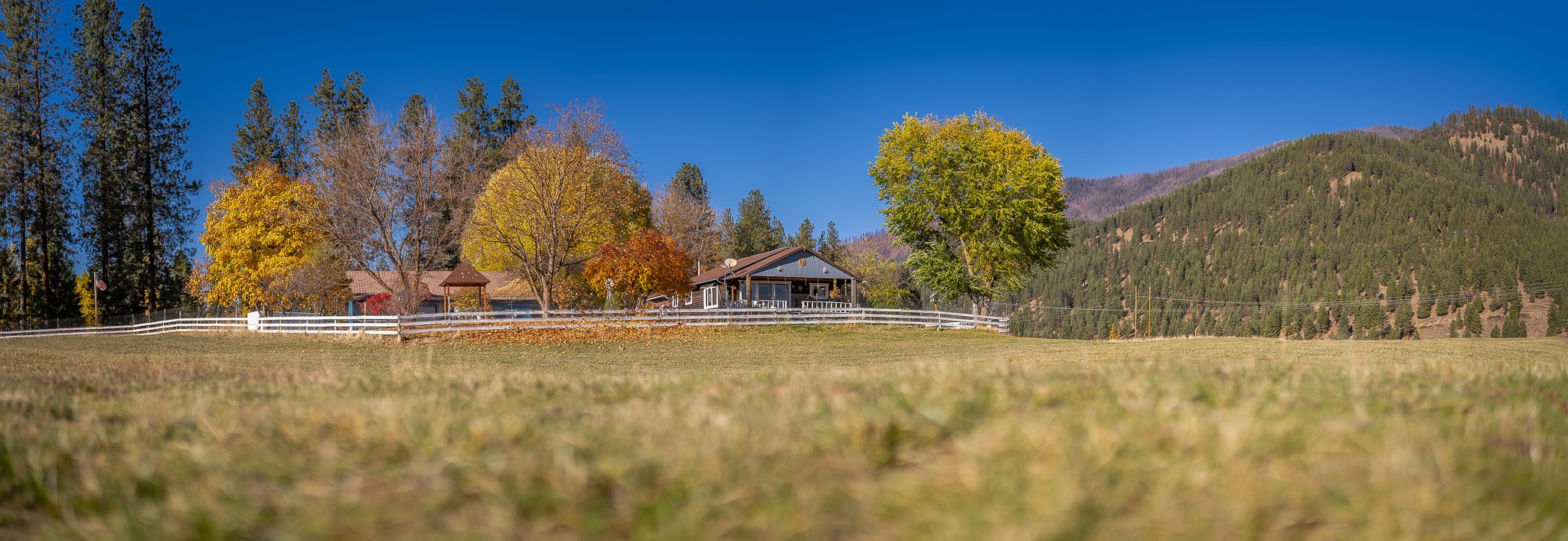 4 Courtier Road