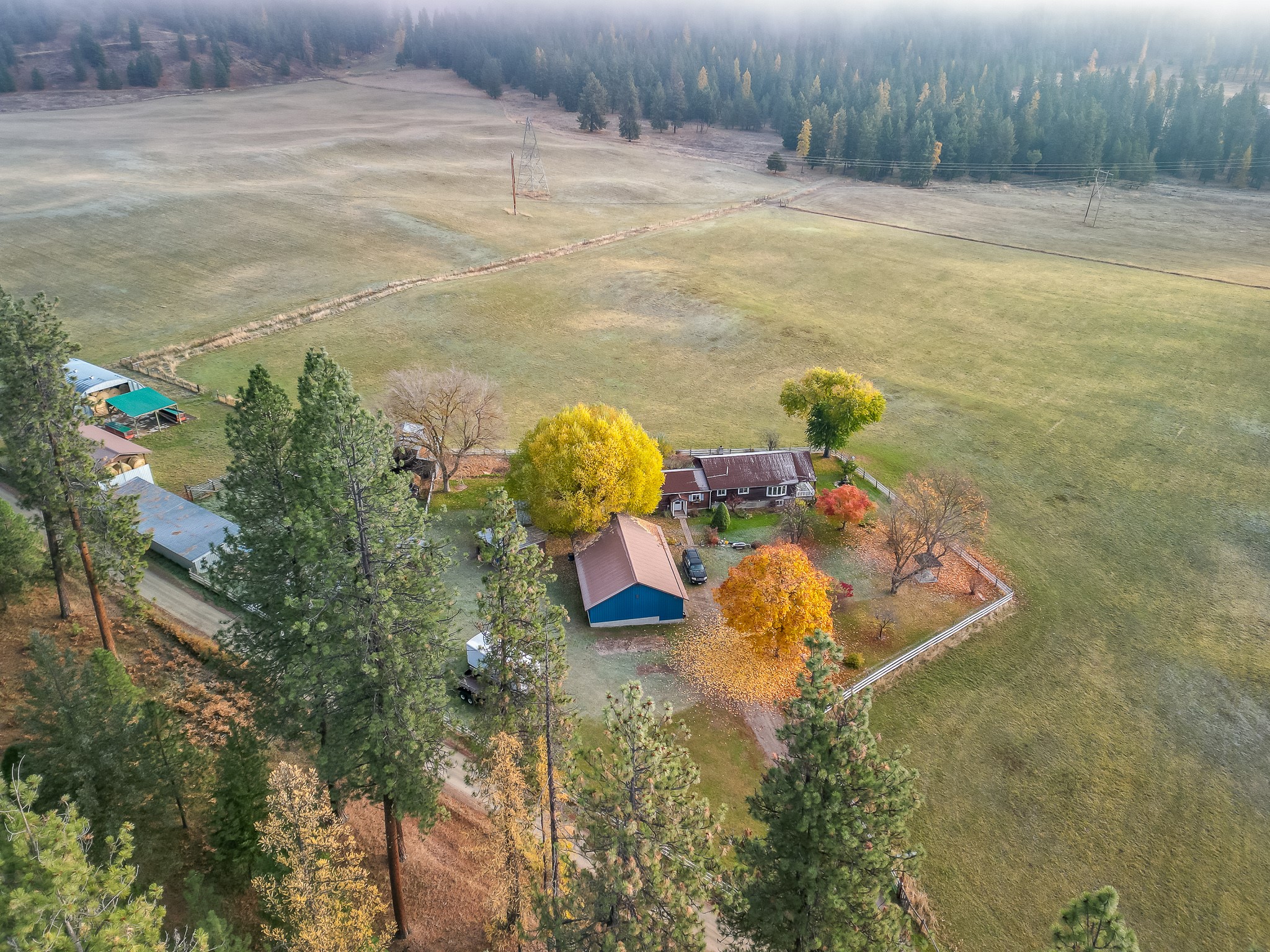 4 Courtier Road