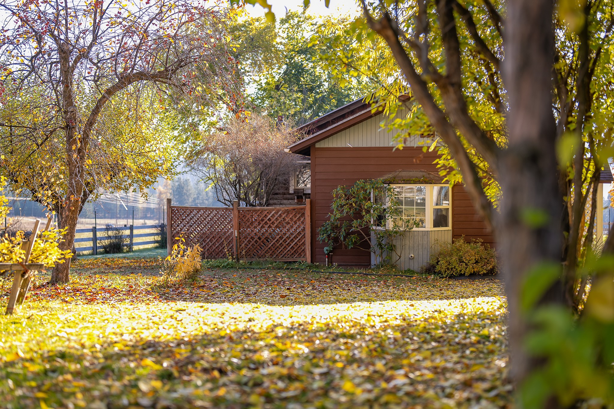 4 Courtier Road