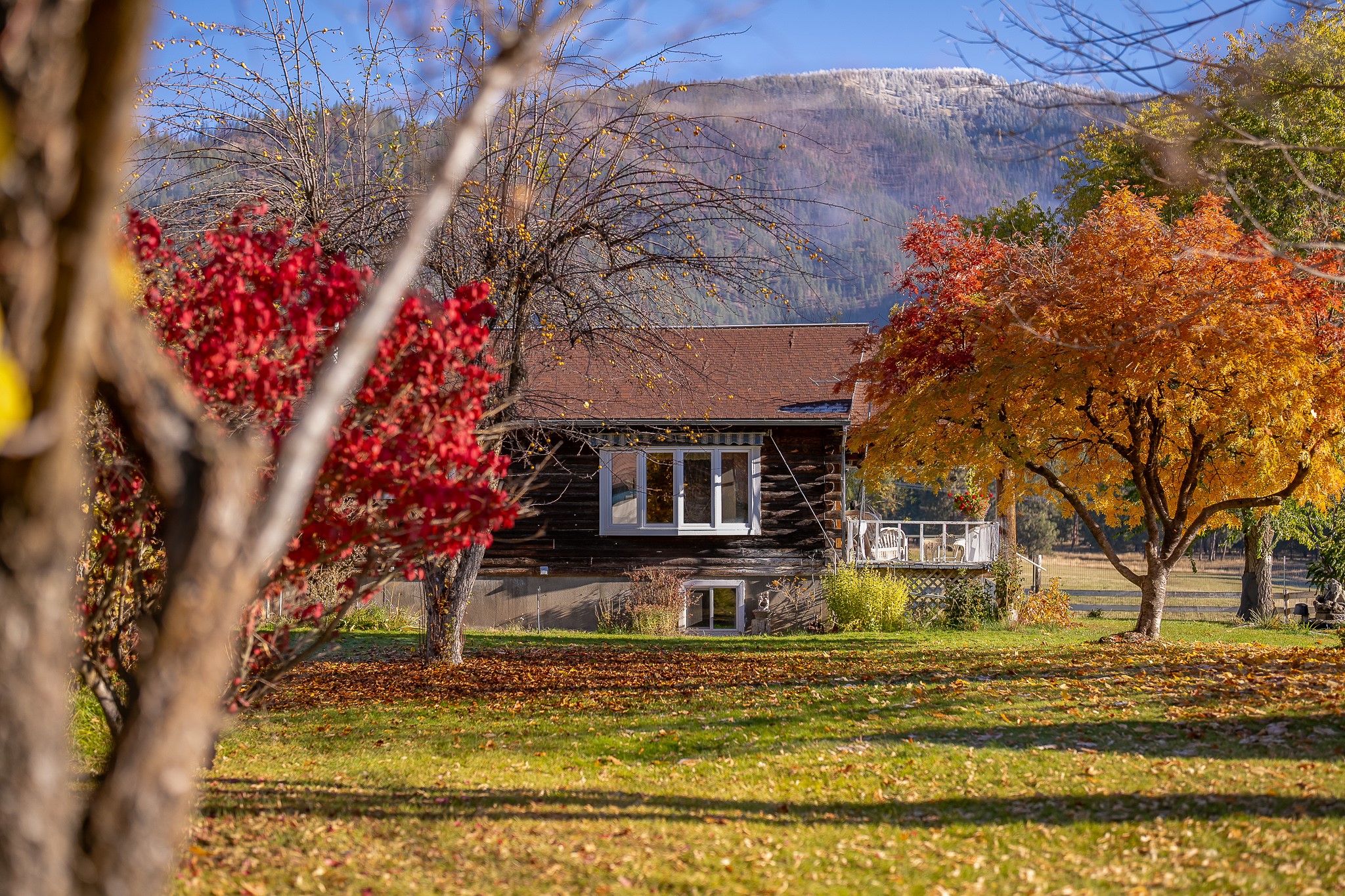 4 Courtier Road