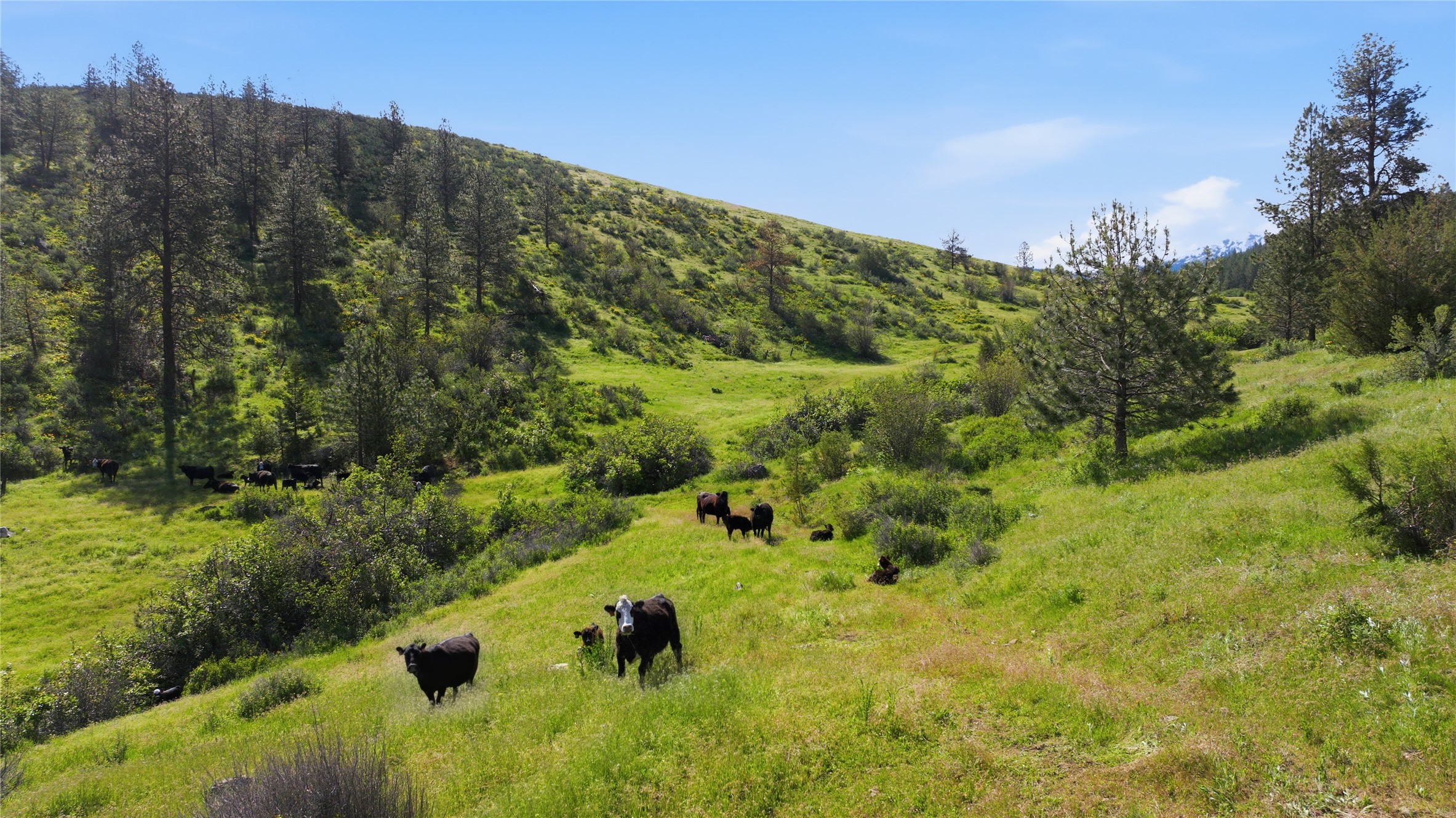 54 W Magpie Creek Road