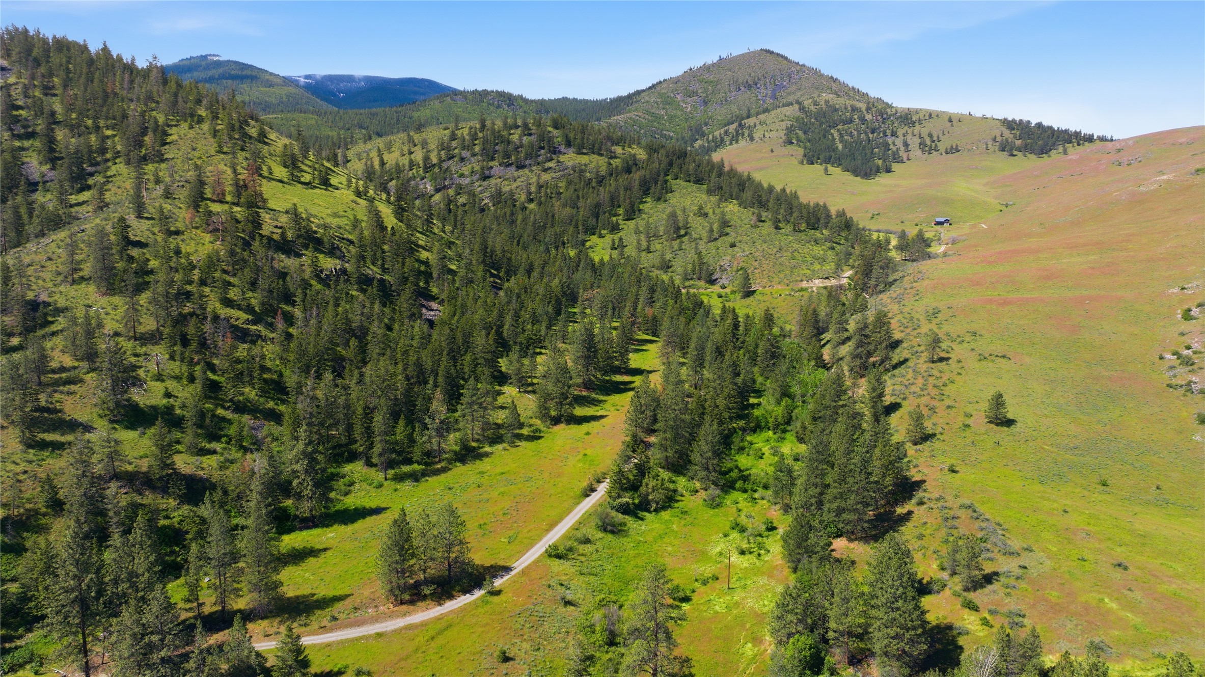 54 W Magpie Creek Road