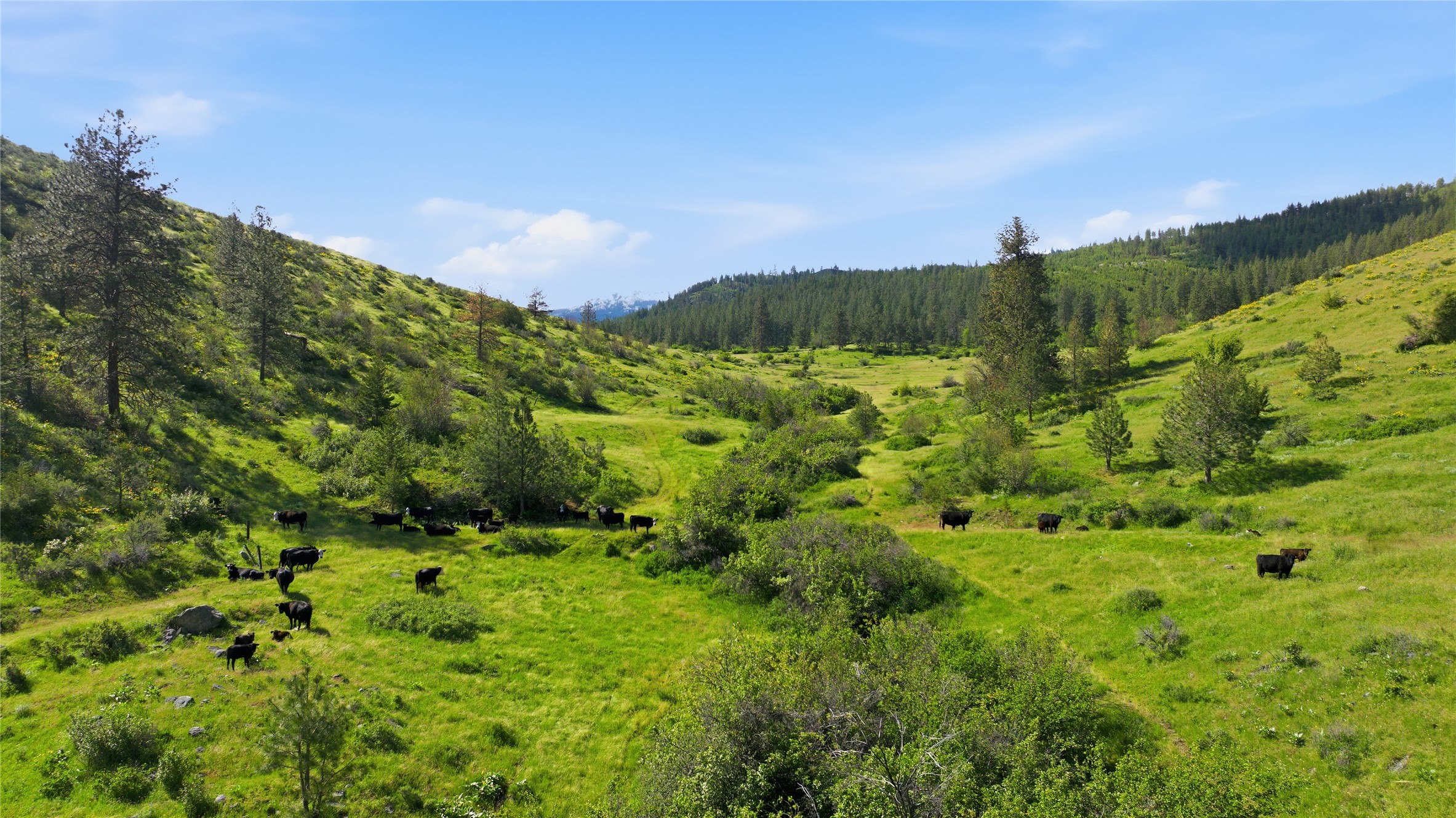 54 W Magpie Creek Road