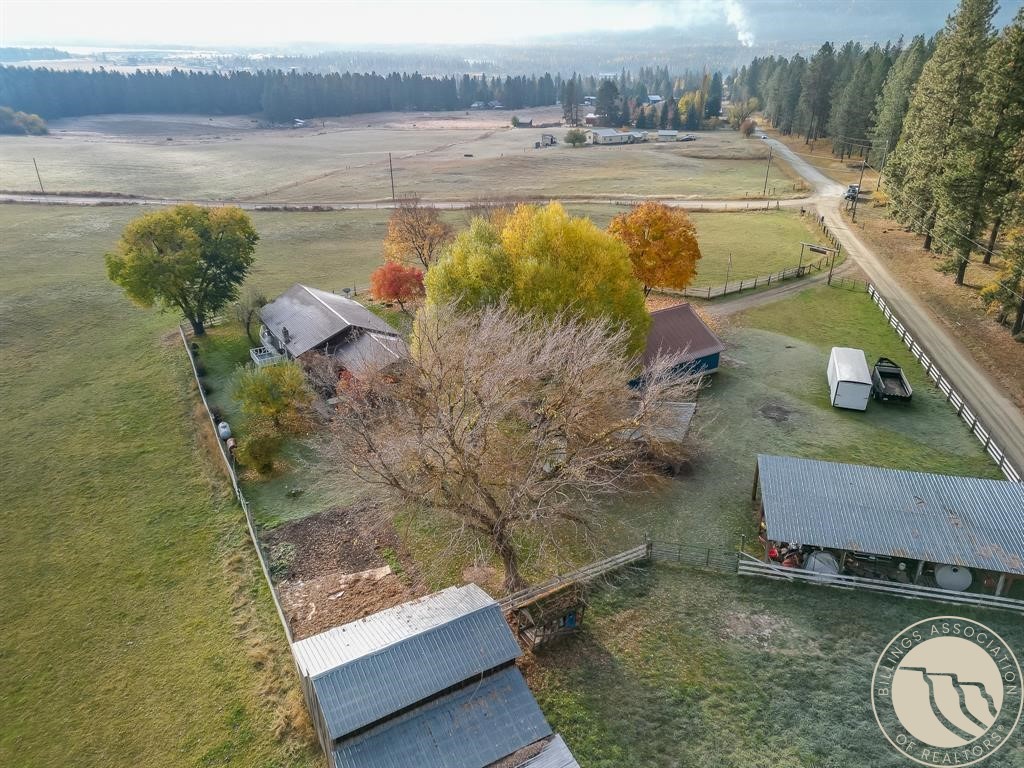 4 Courtier Road