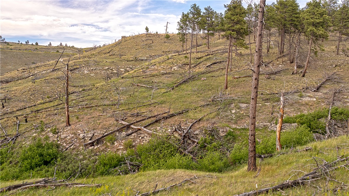 69 N Fork Eagle Mountain Road