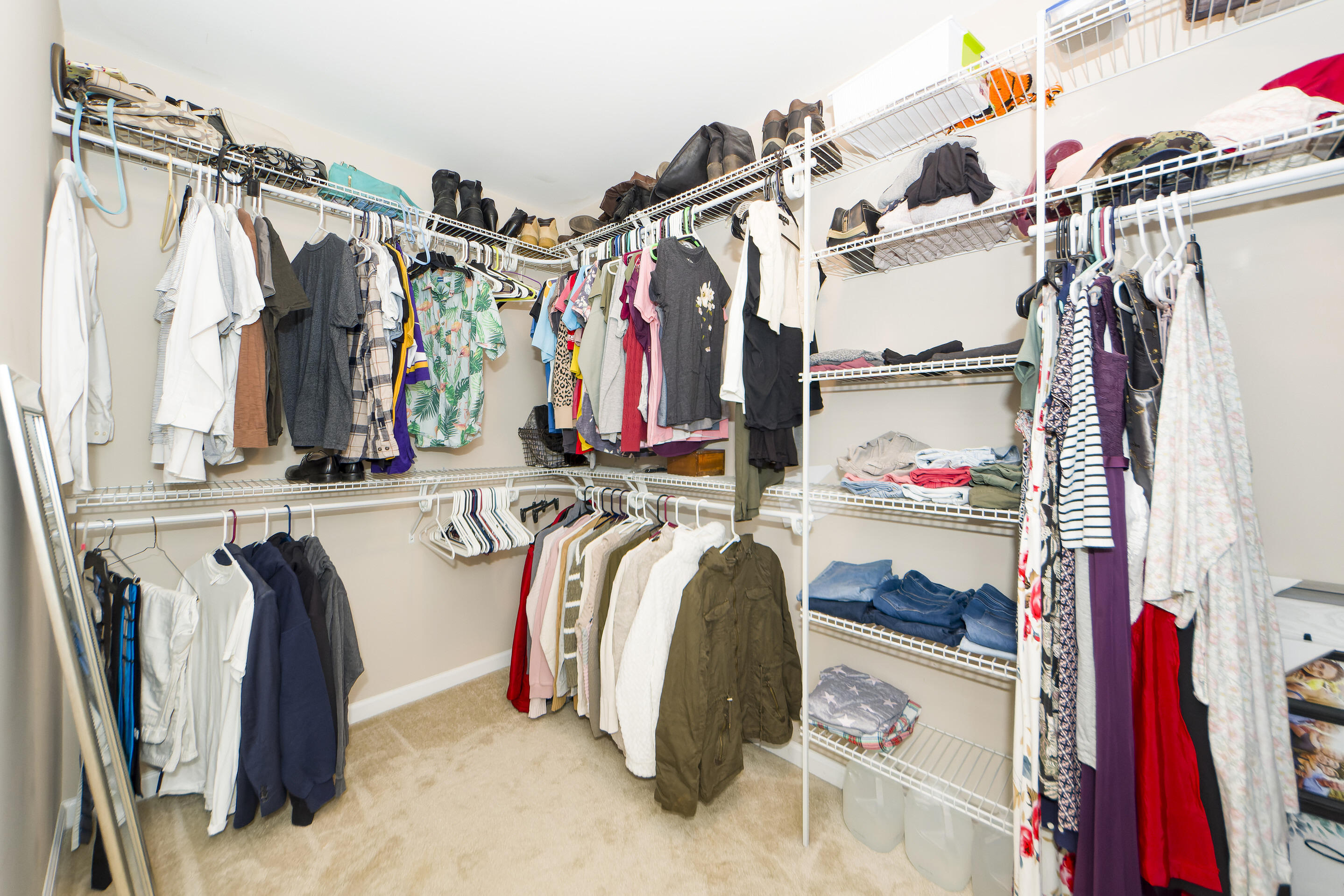 3812 Kate Park Lane