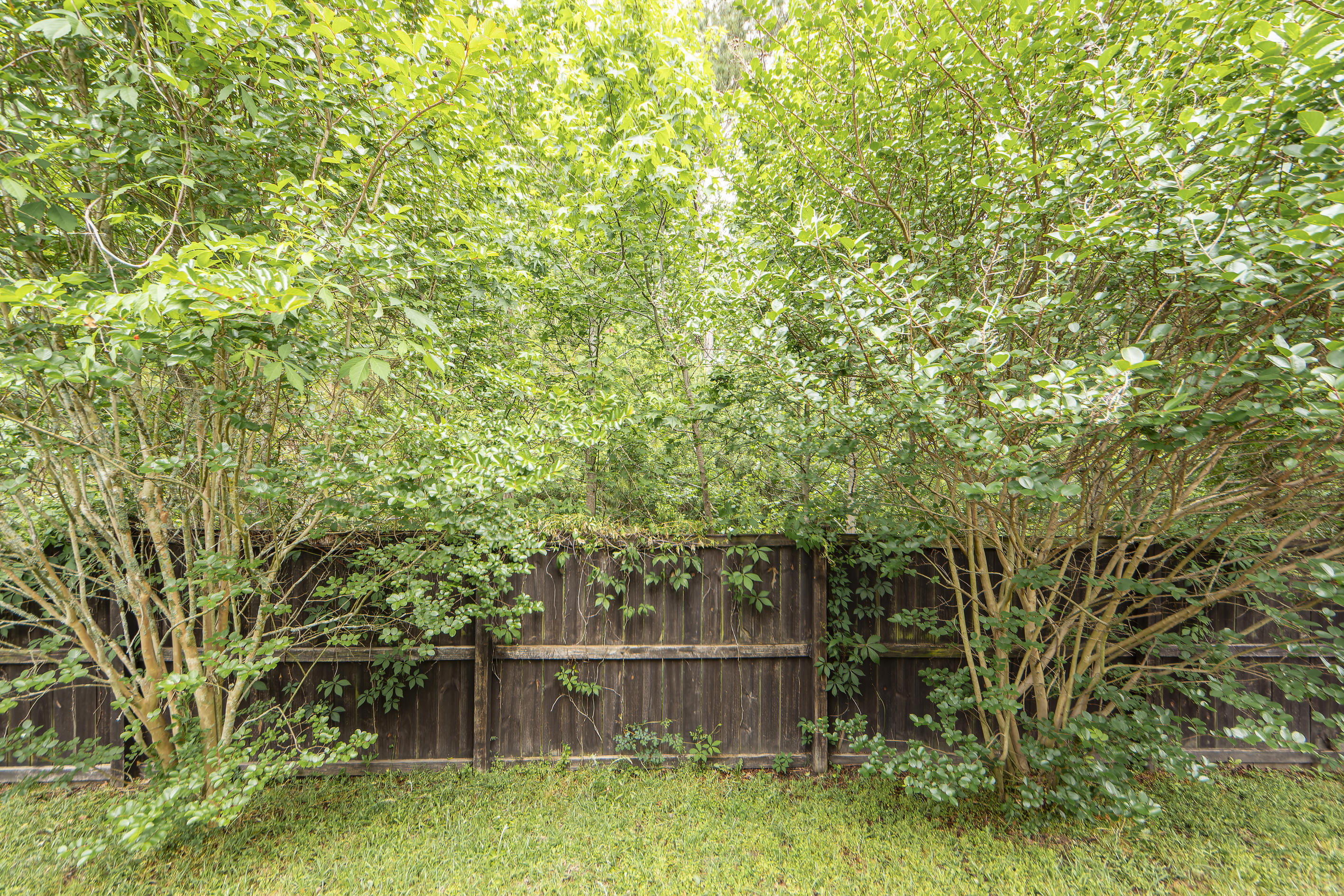 3812 Kate Park Lane