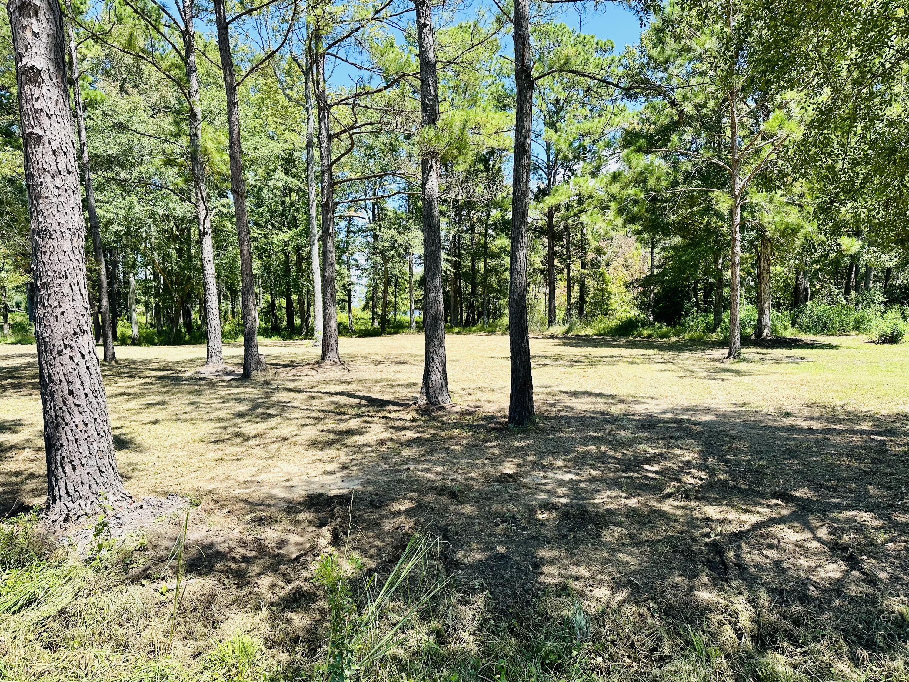 1426 Pinopolis Road