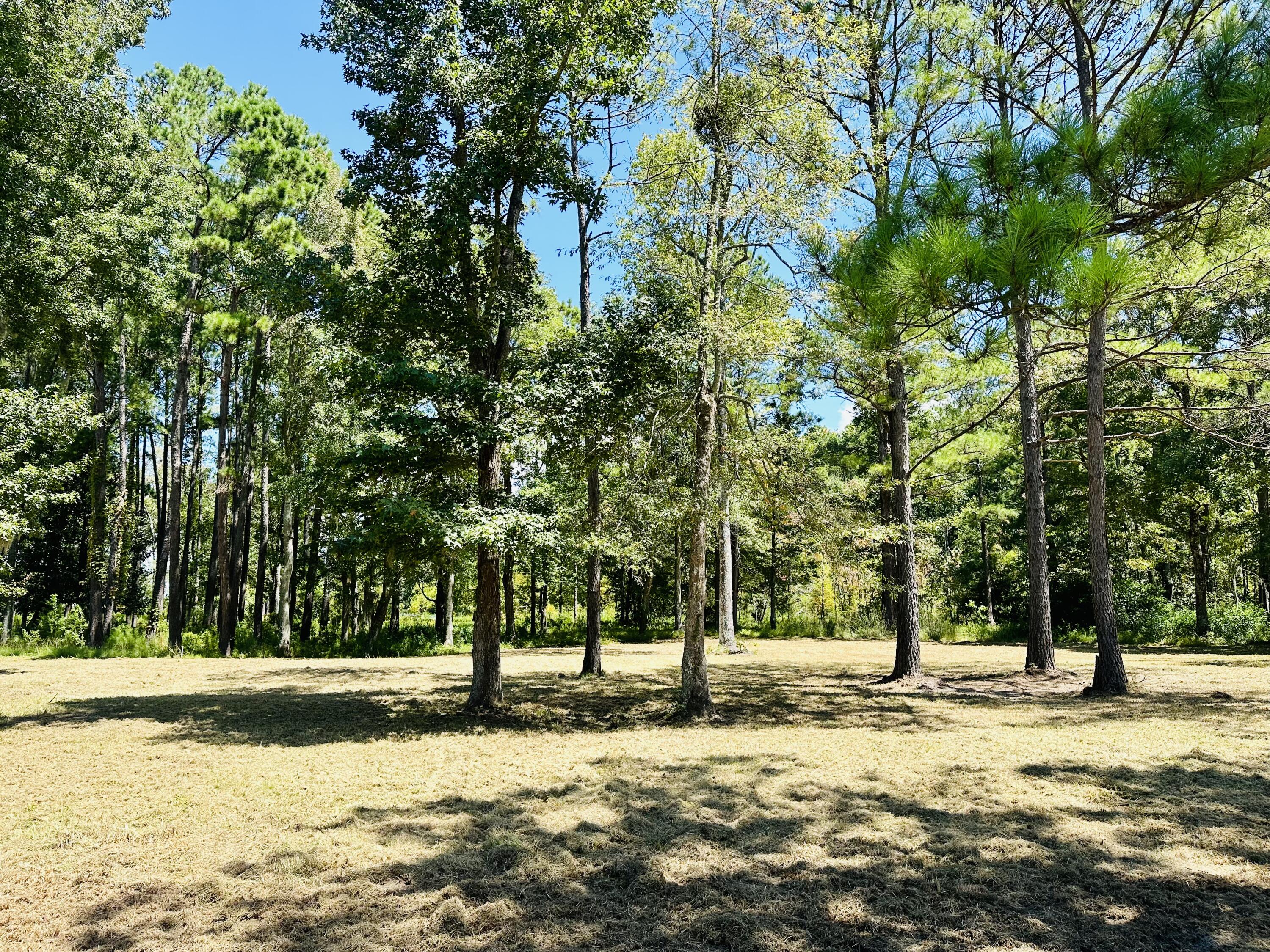 1426 Pinopolis Road