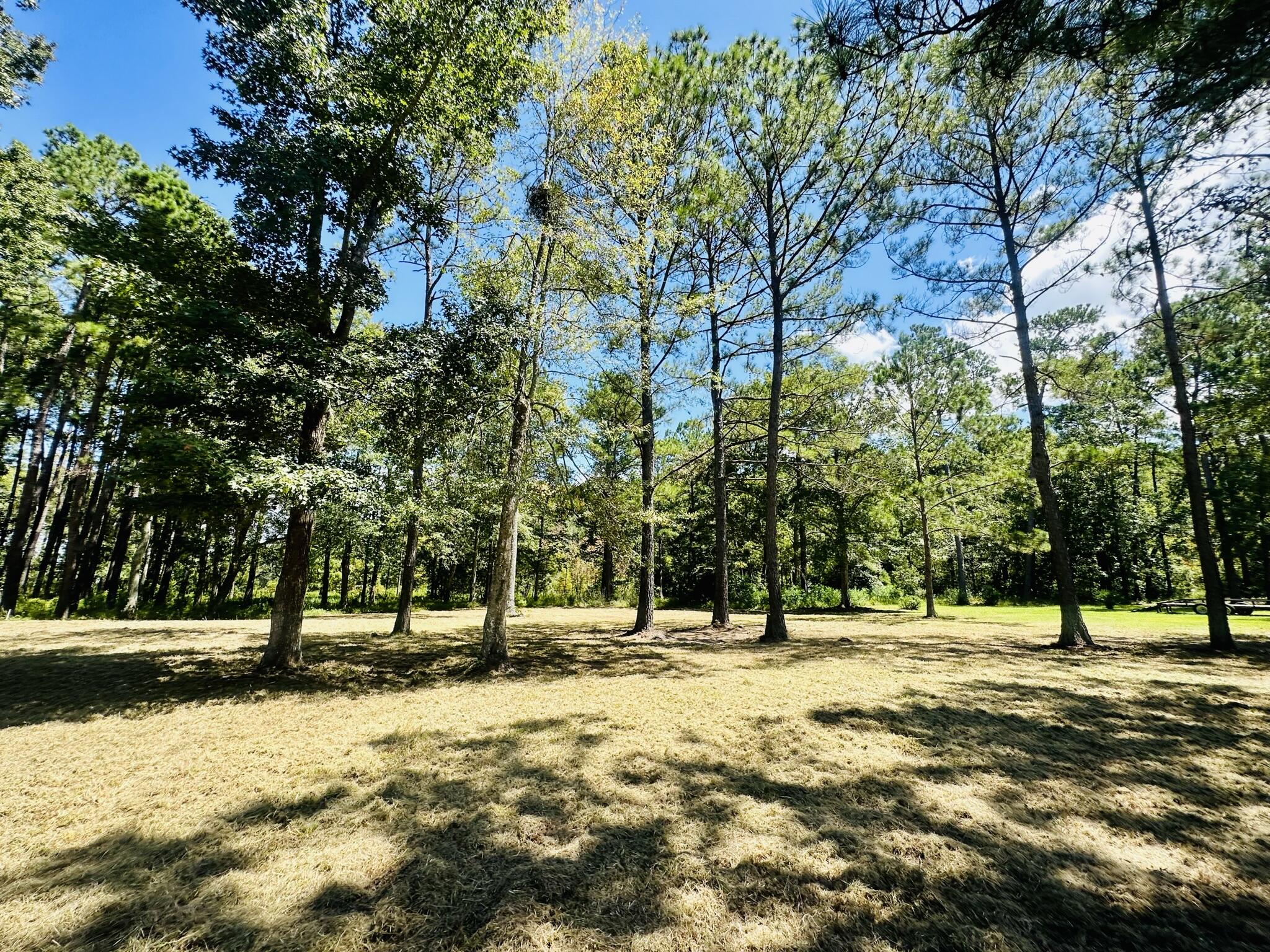 1426 Pinopolis Road