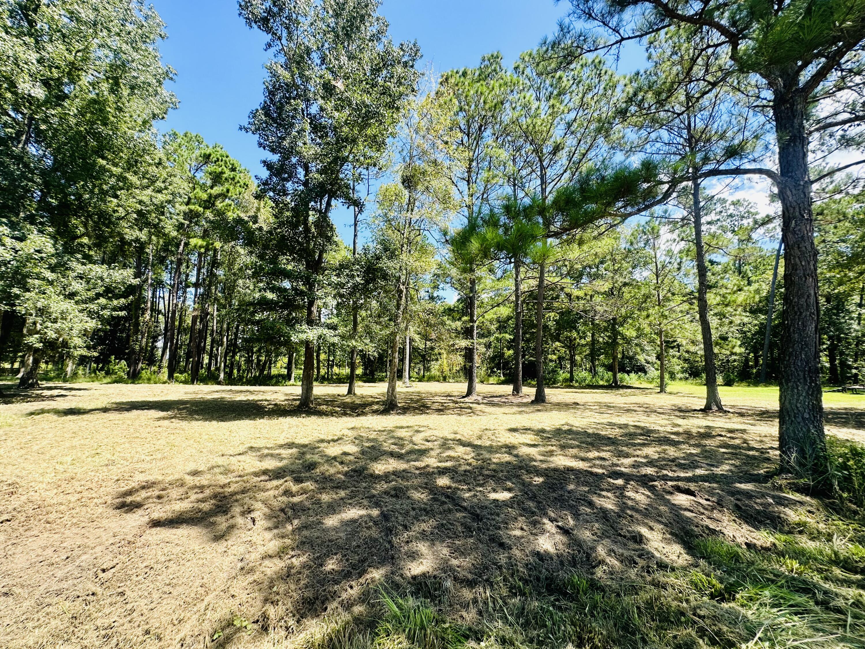 1426 Pinopolis Road