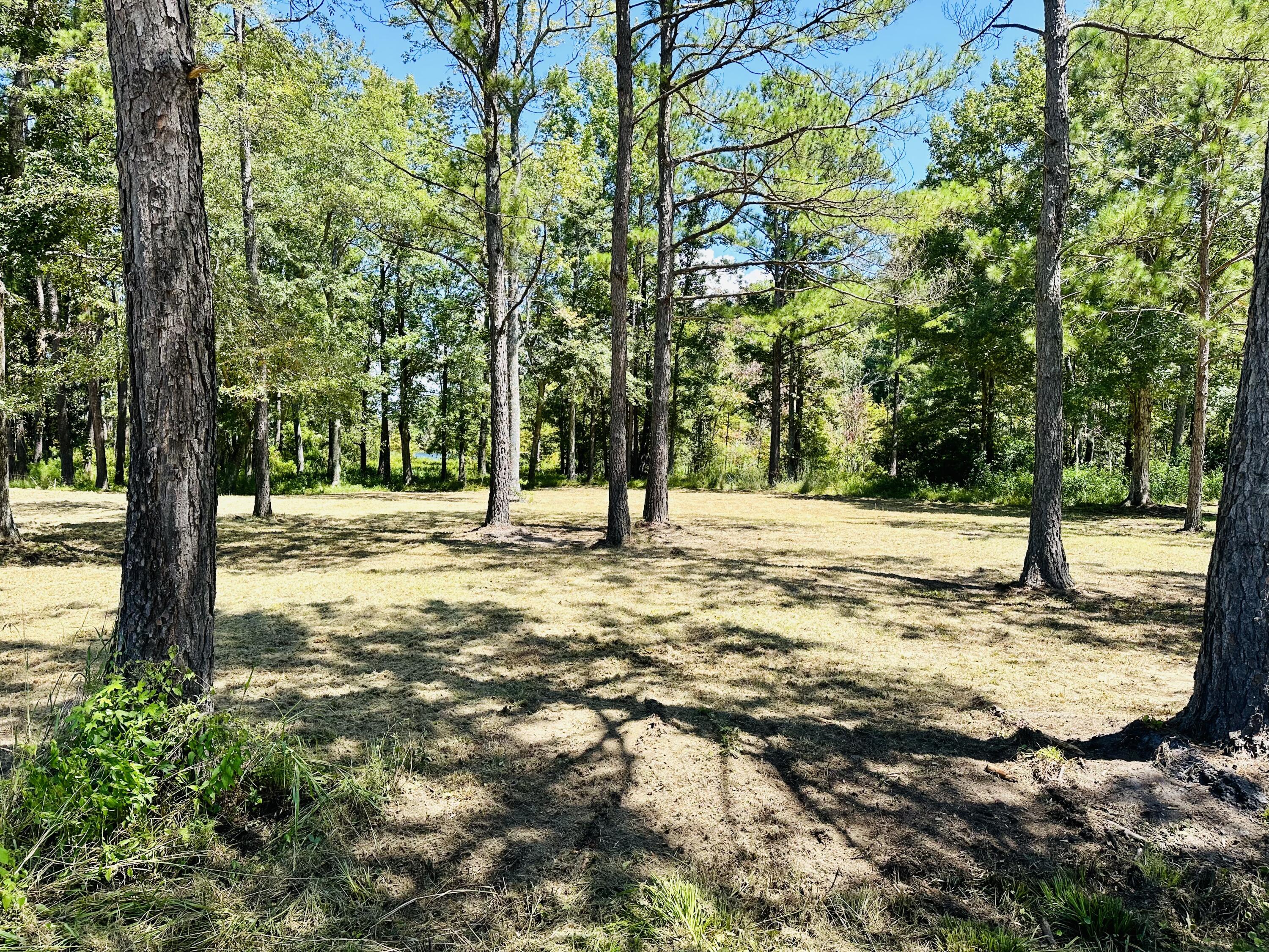 1426 Pinopolis Road