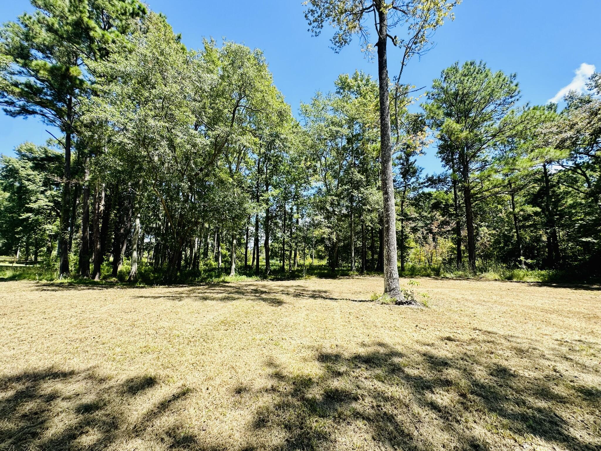 1426 Pinopolis Road