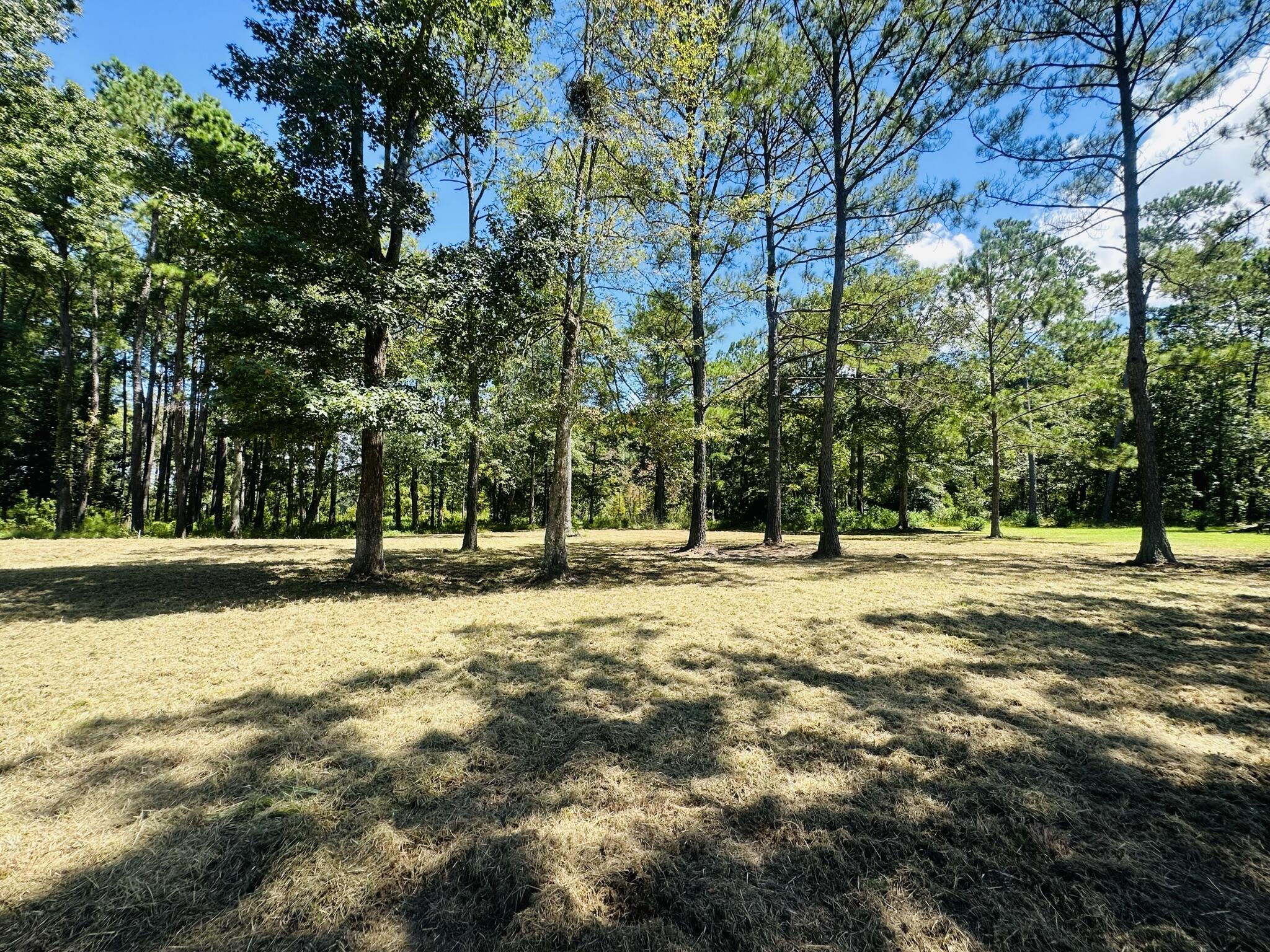1426 Pinopolis Road