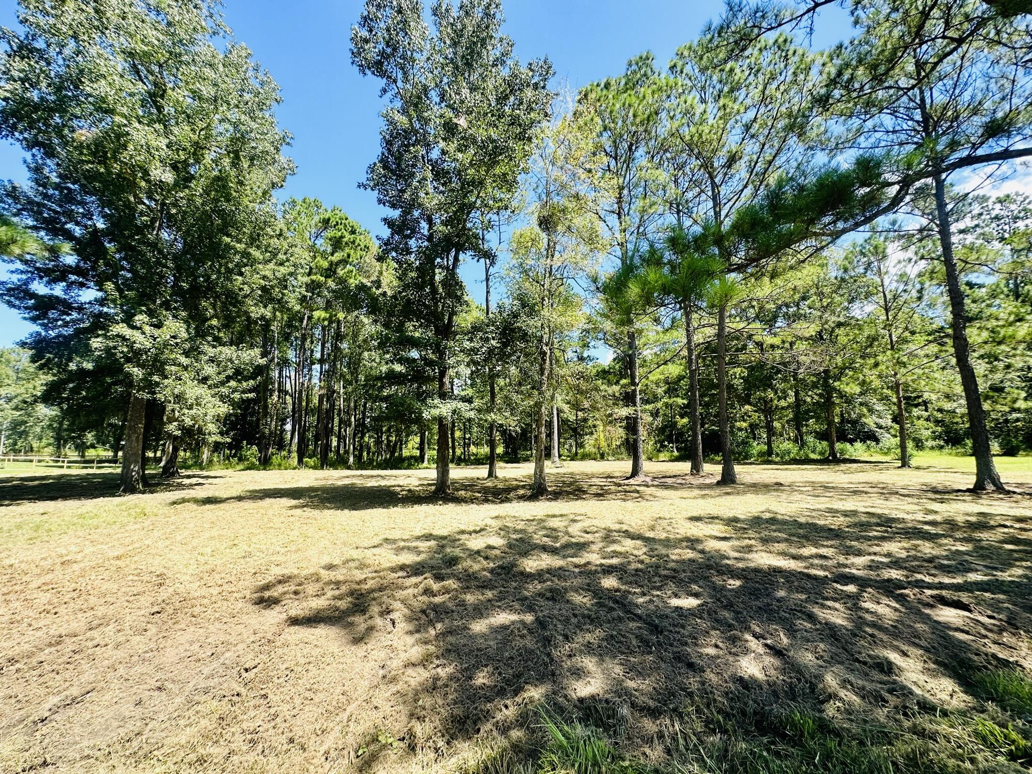 1426 Pinopolis Road