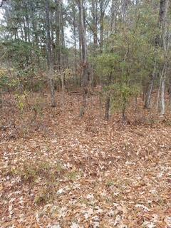 Lot 205 Prices Bridge Lane