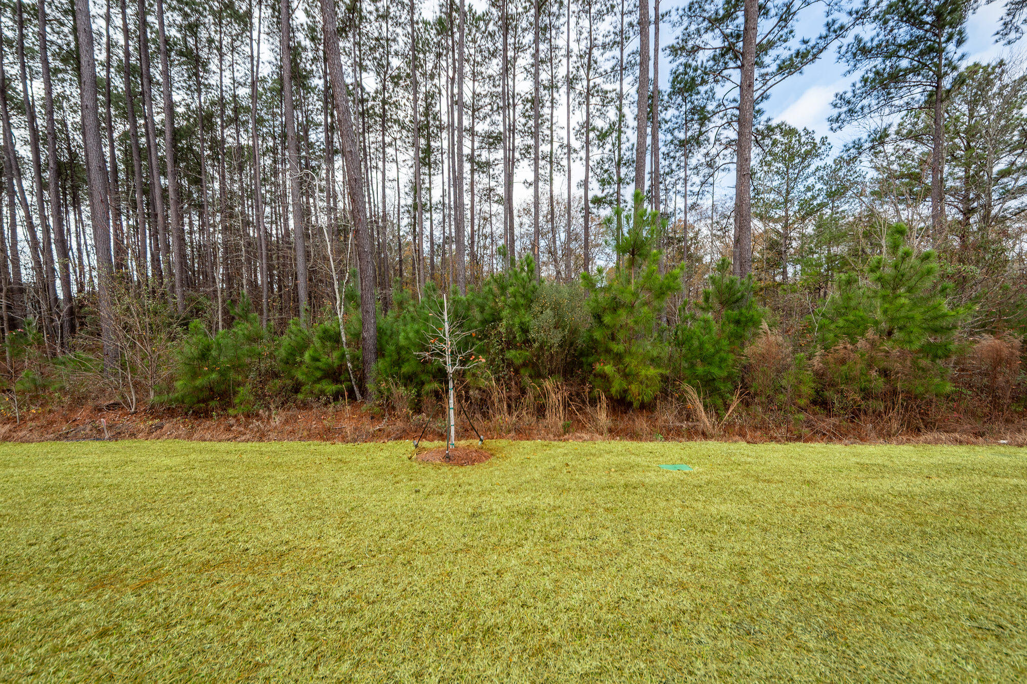 966 Dusk Drive