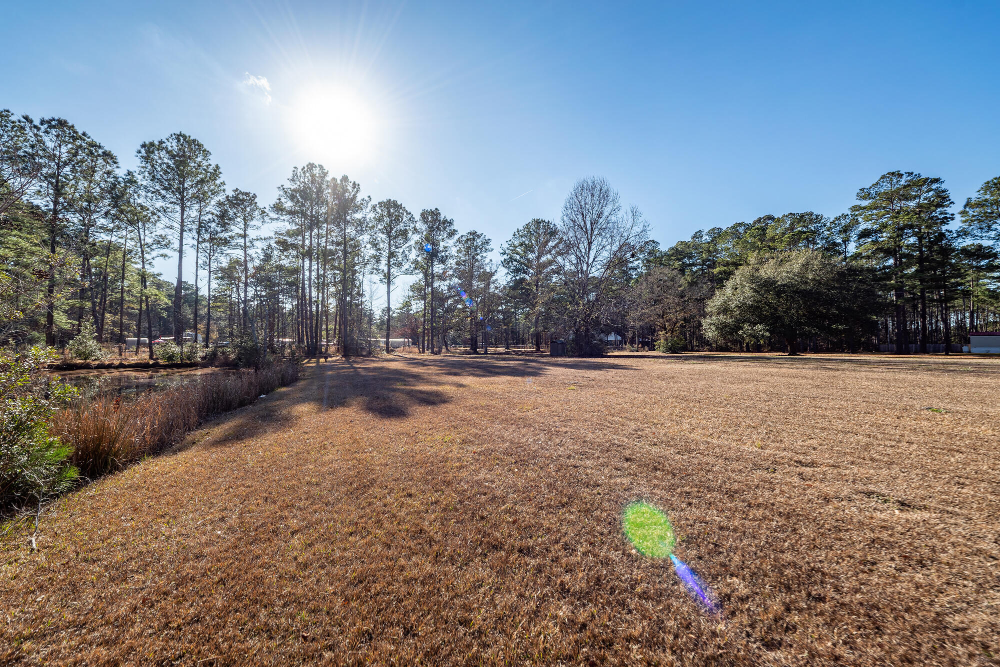 650 Coral Acres Drive