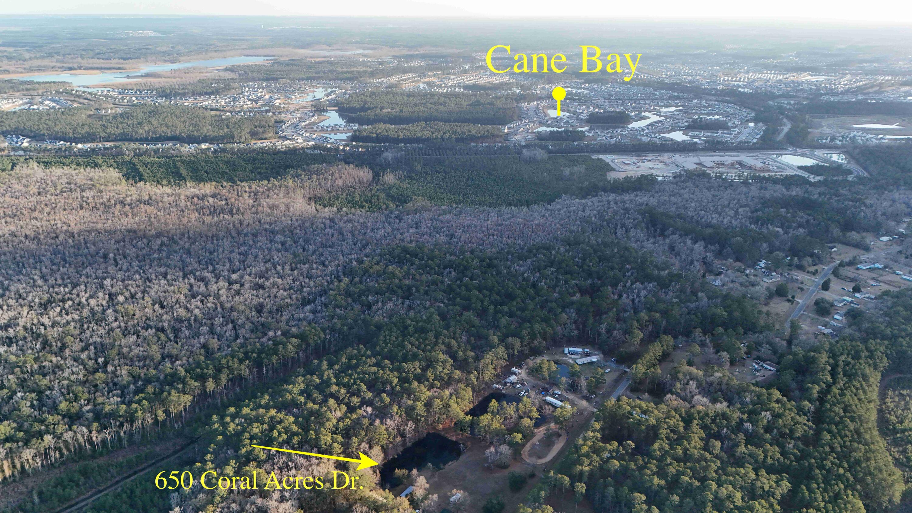 650 Coral Acres Drive