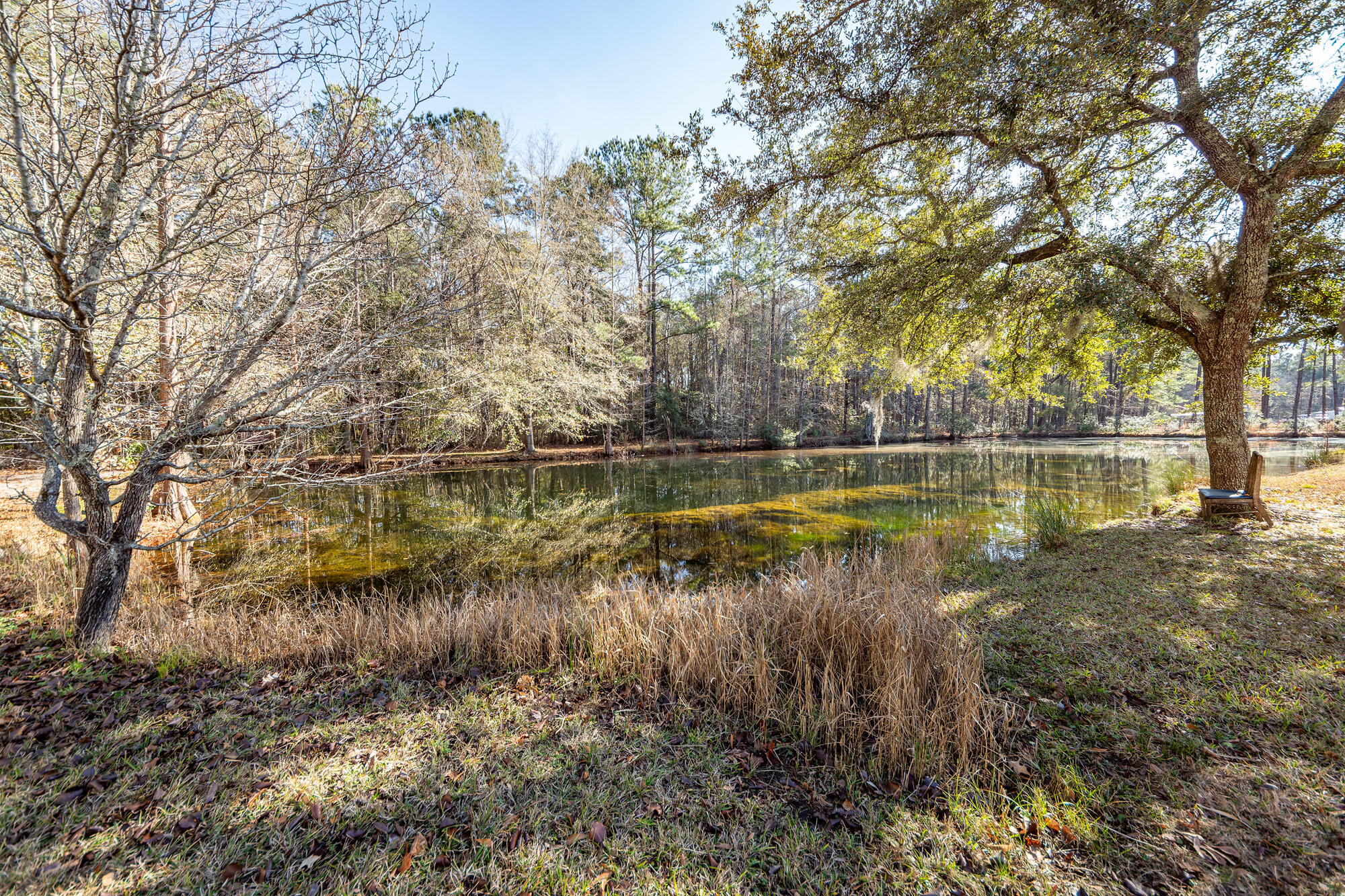 650 Coral Acres Drive