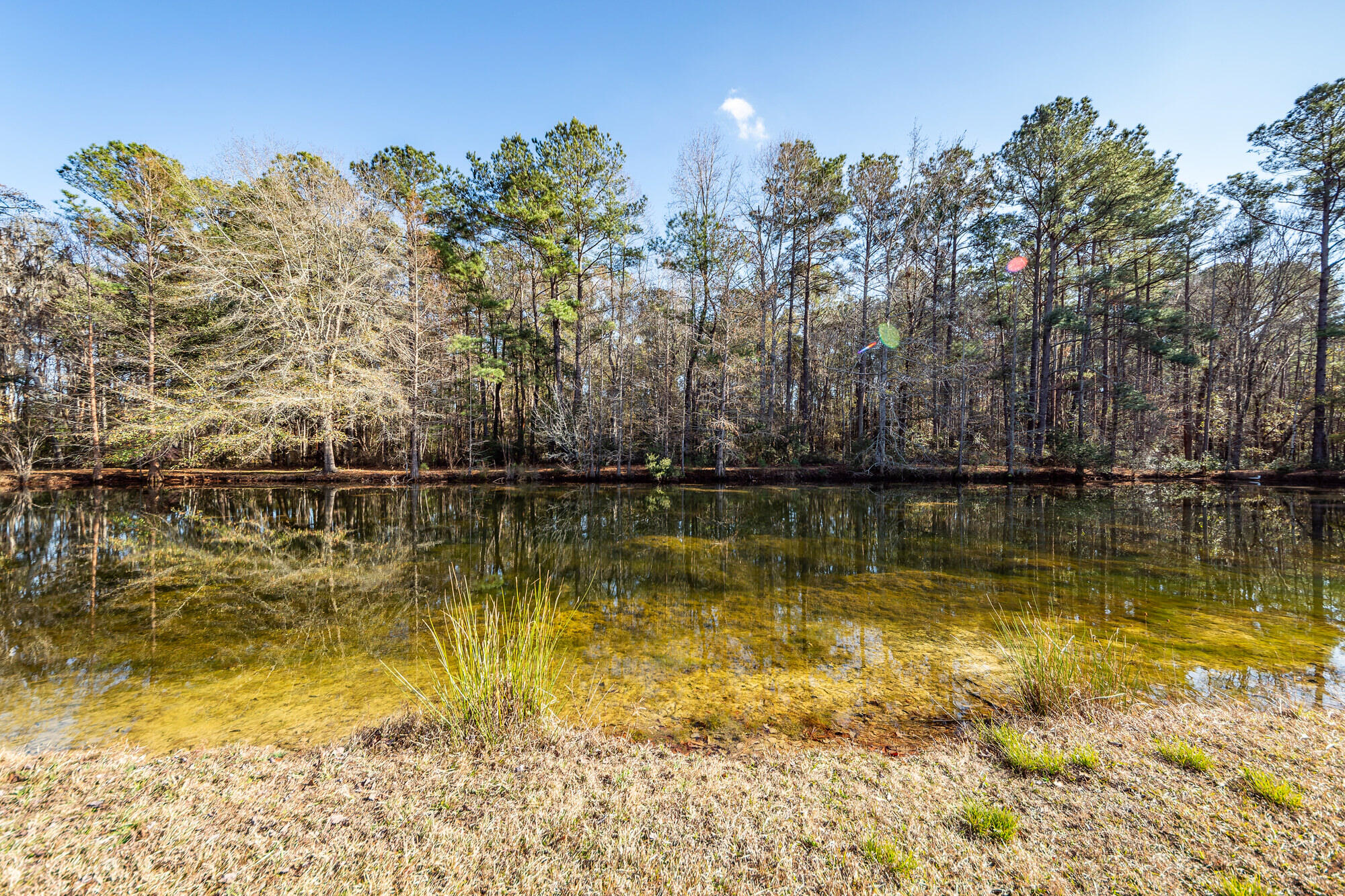 650 Coral Acres Drive