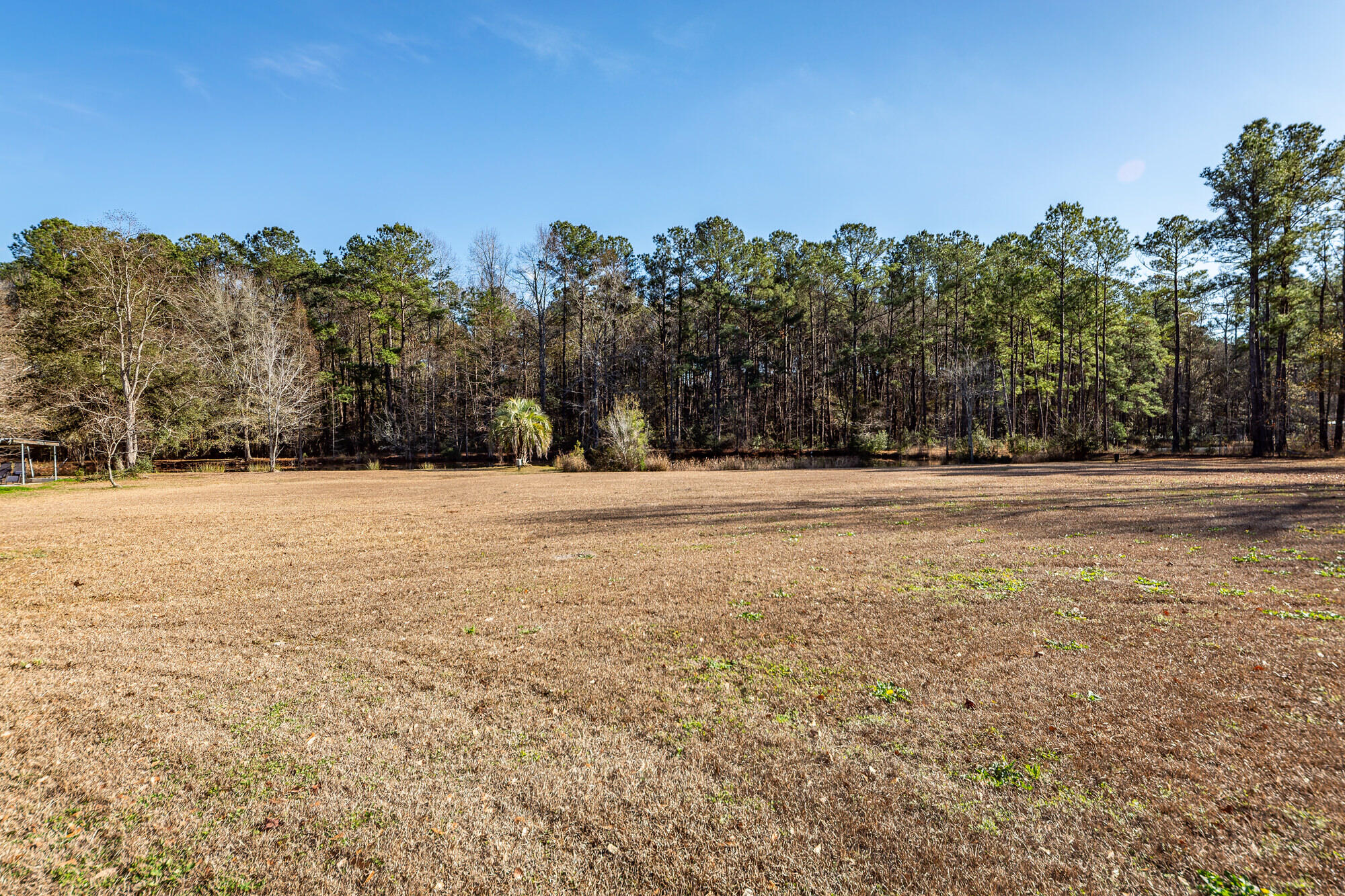 650 Coral Acres Drive