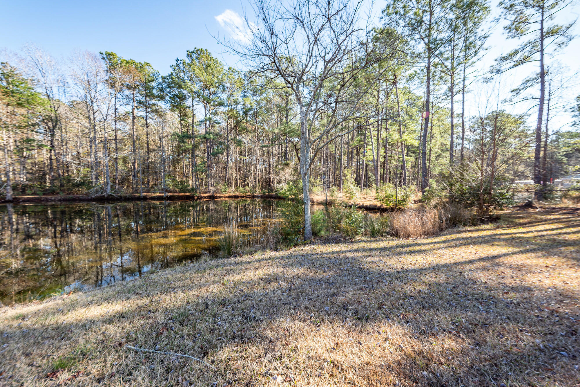 650 Coral Acres Drive