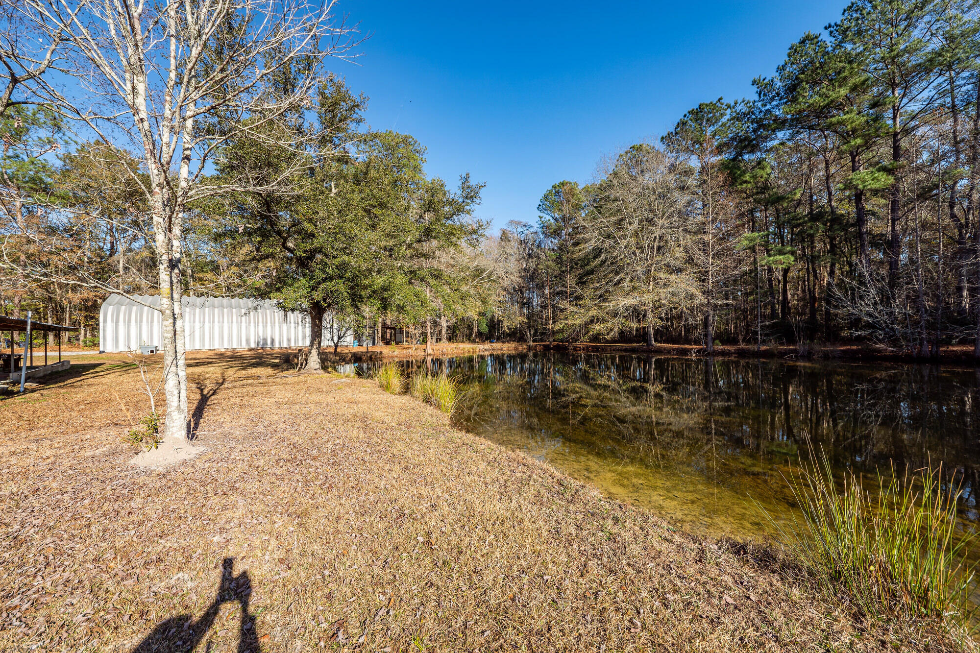 650 Coral Acres Drive