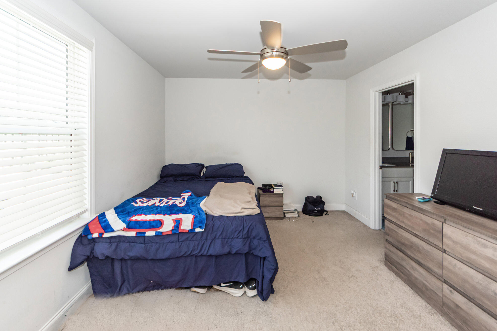 513 Green Fern Drive